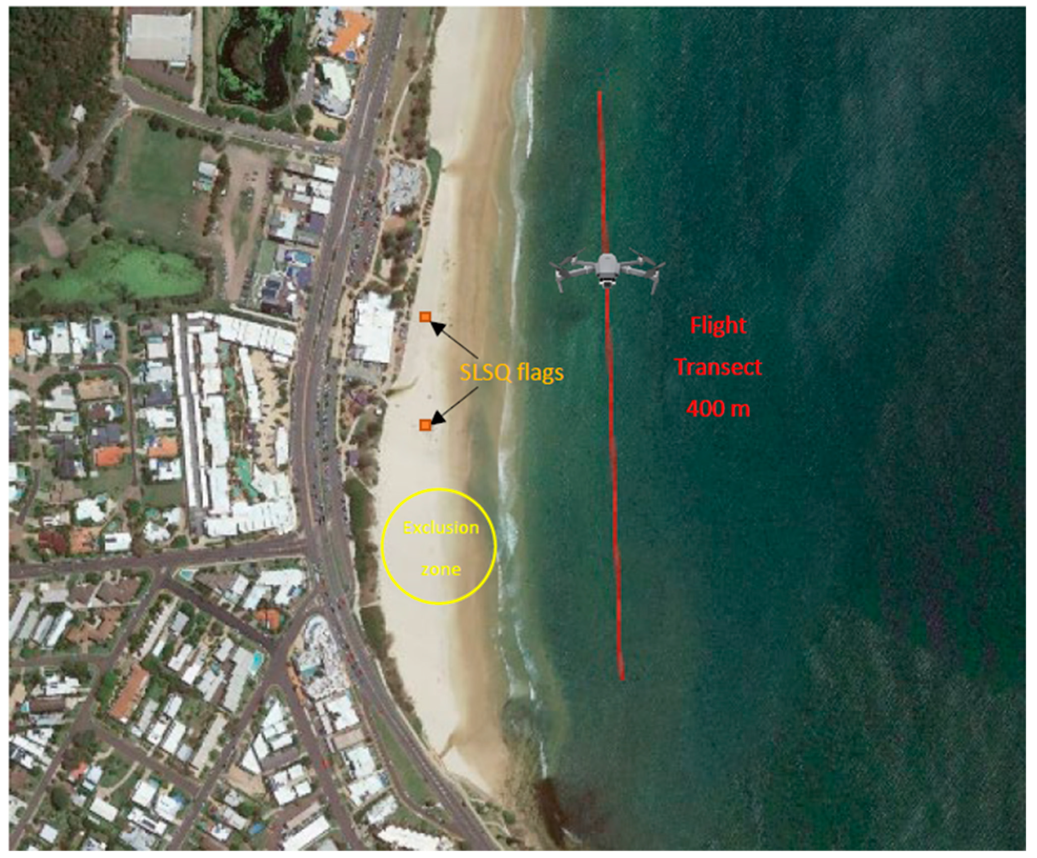 Biology 11 01552 g002 Biology 11 01552 g002