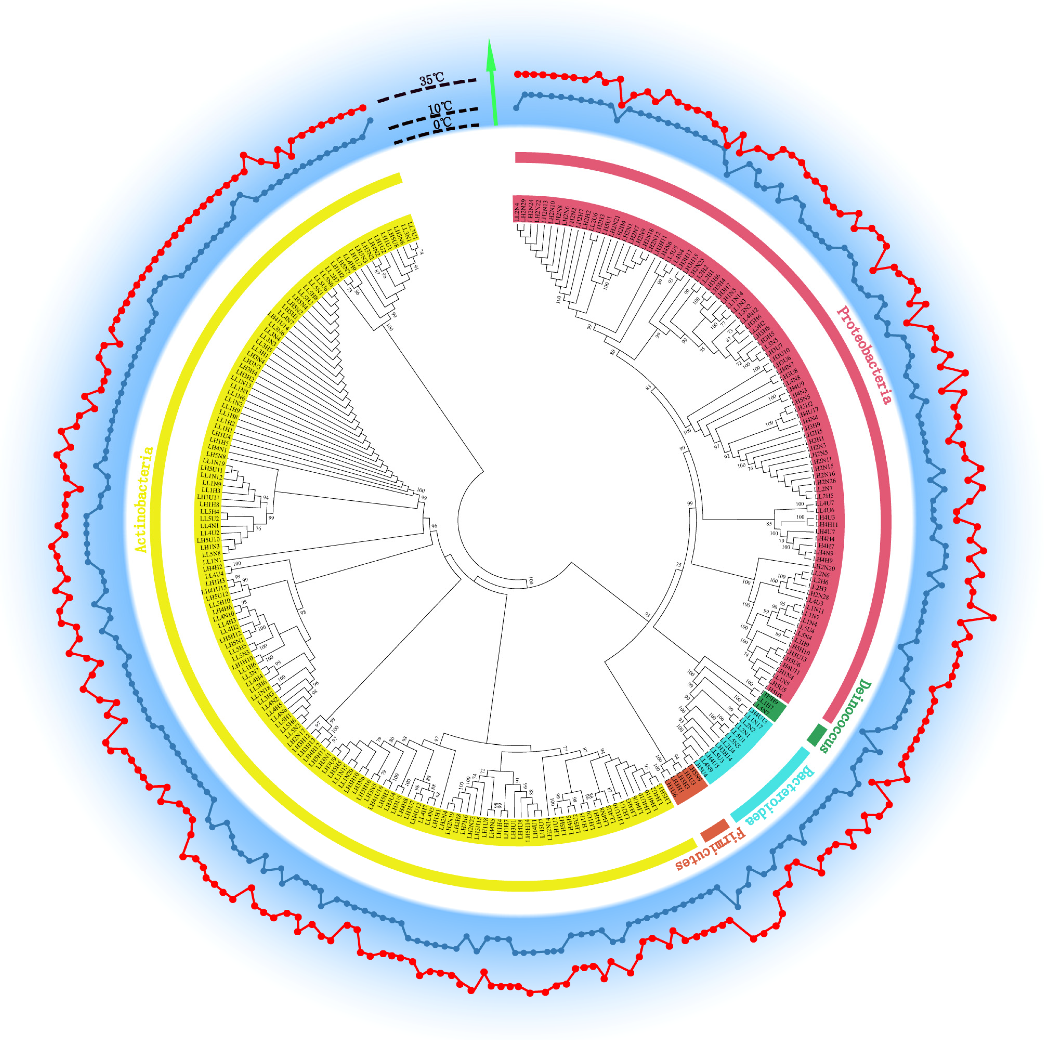 Biology 11 01555 g007