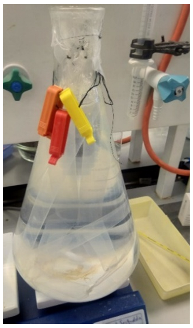 Biology 11 01561 g002