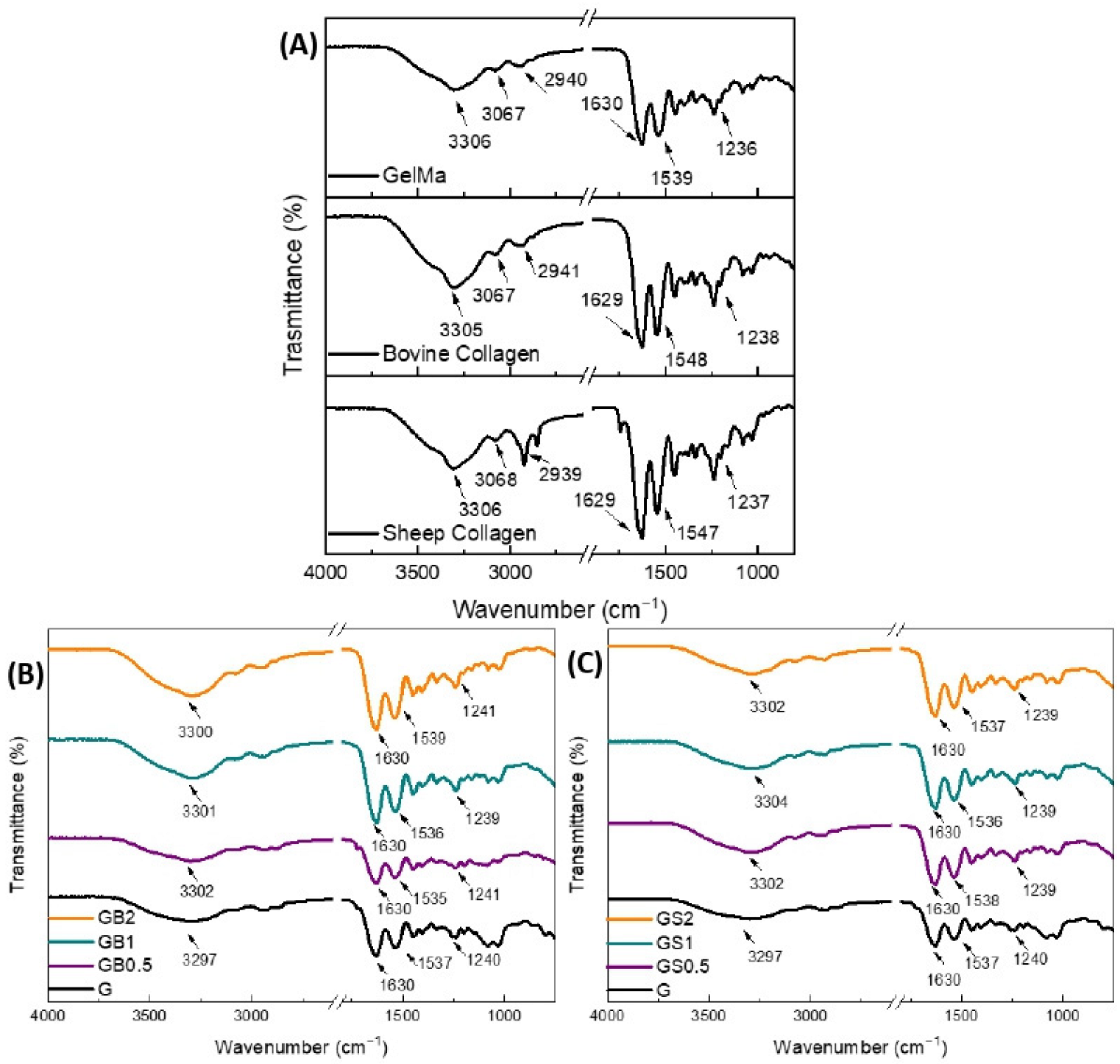 Biology 11 01561 g004