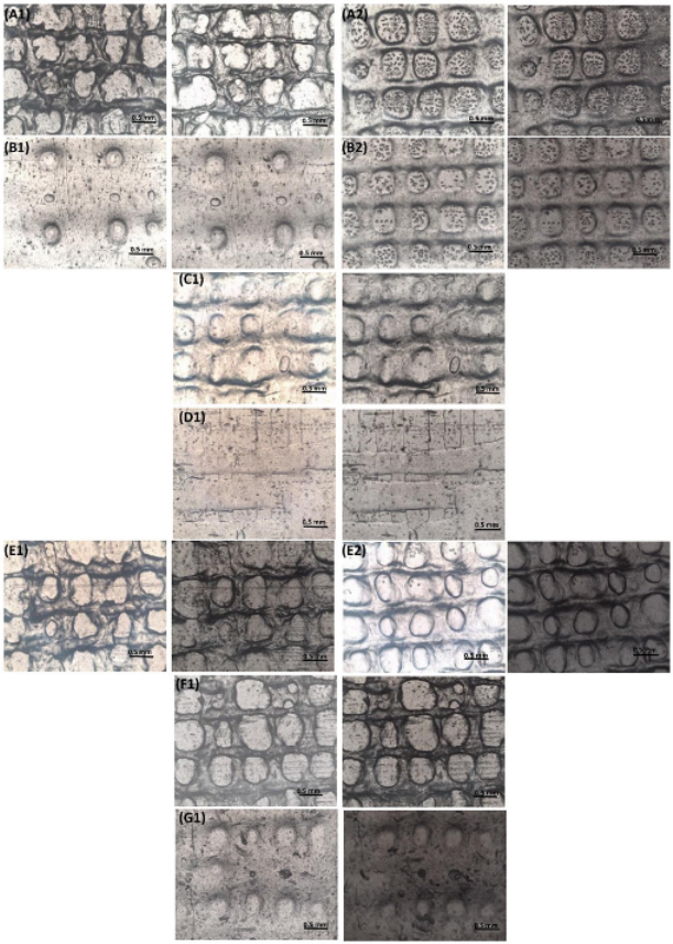 Biology 11 01561 g006