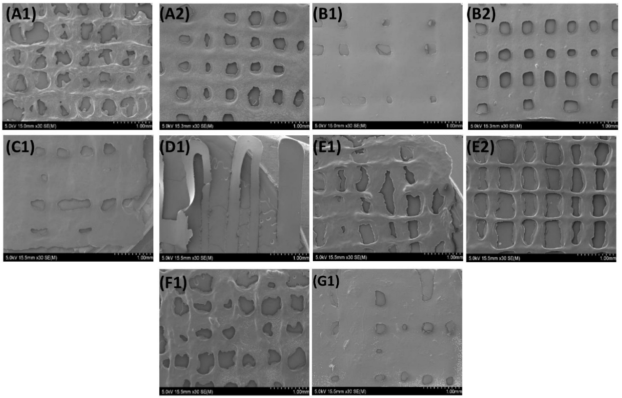 Biology 11 01561 g008