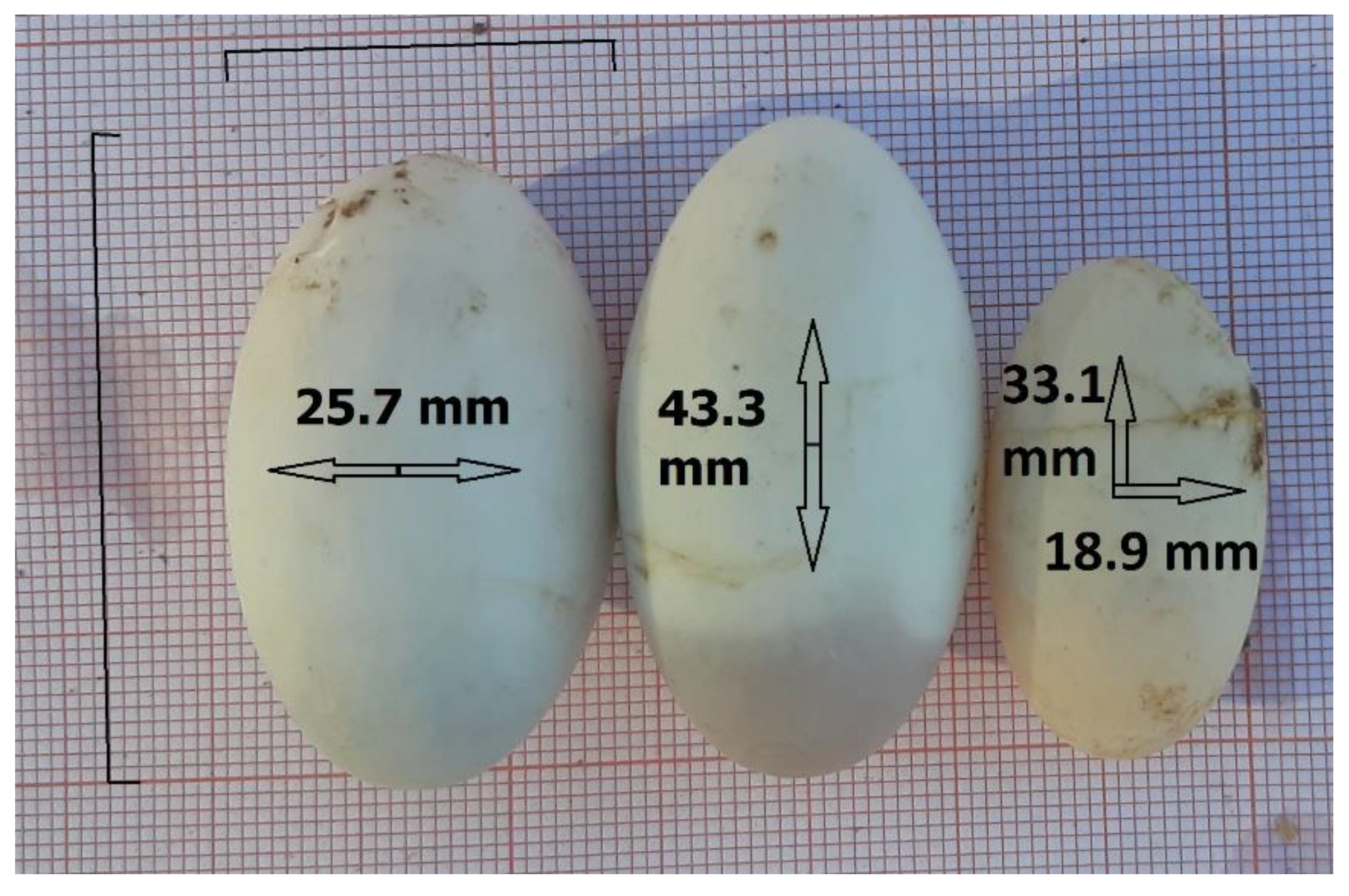 Biology 11 01562 g003