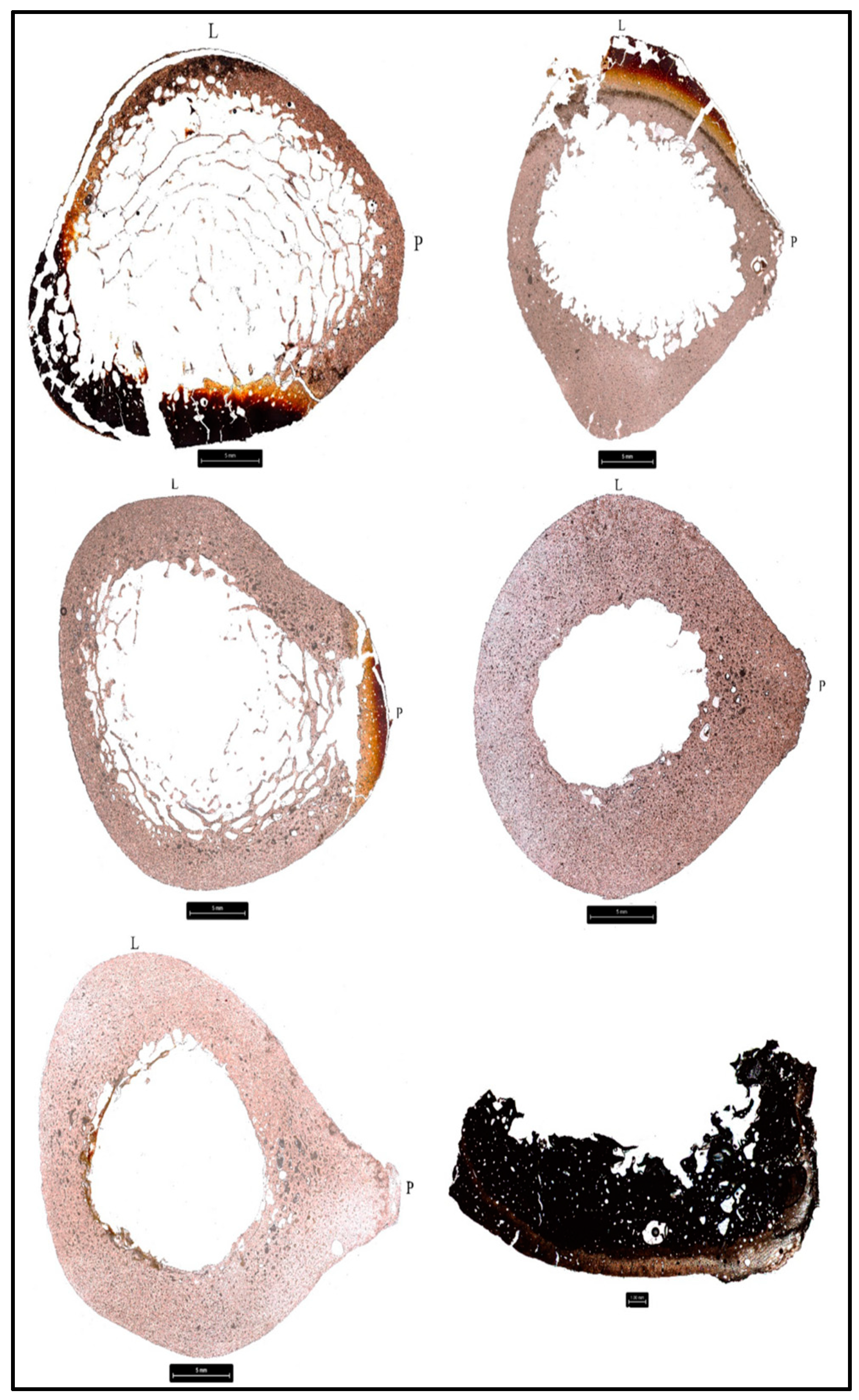 Biology 11 01569 g002