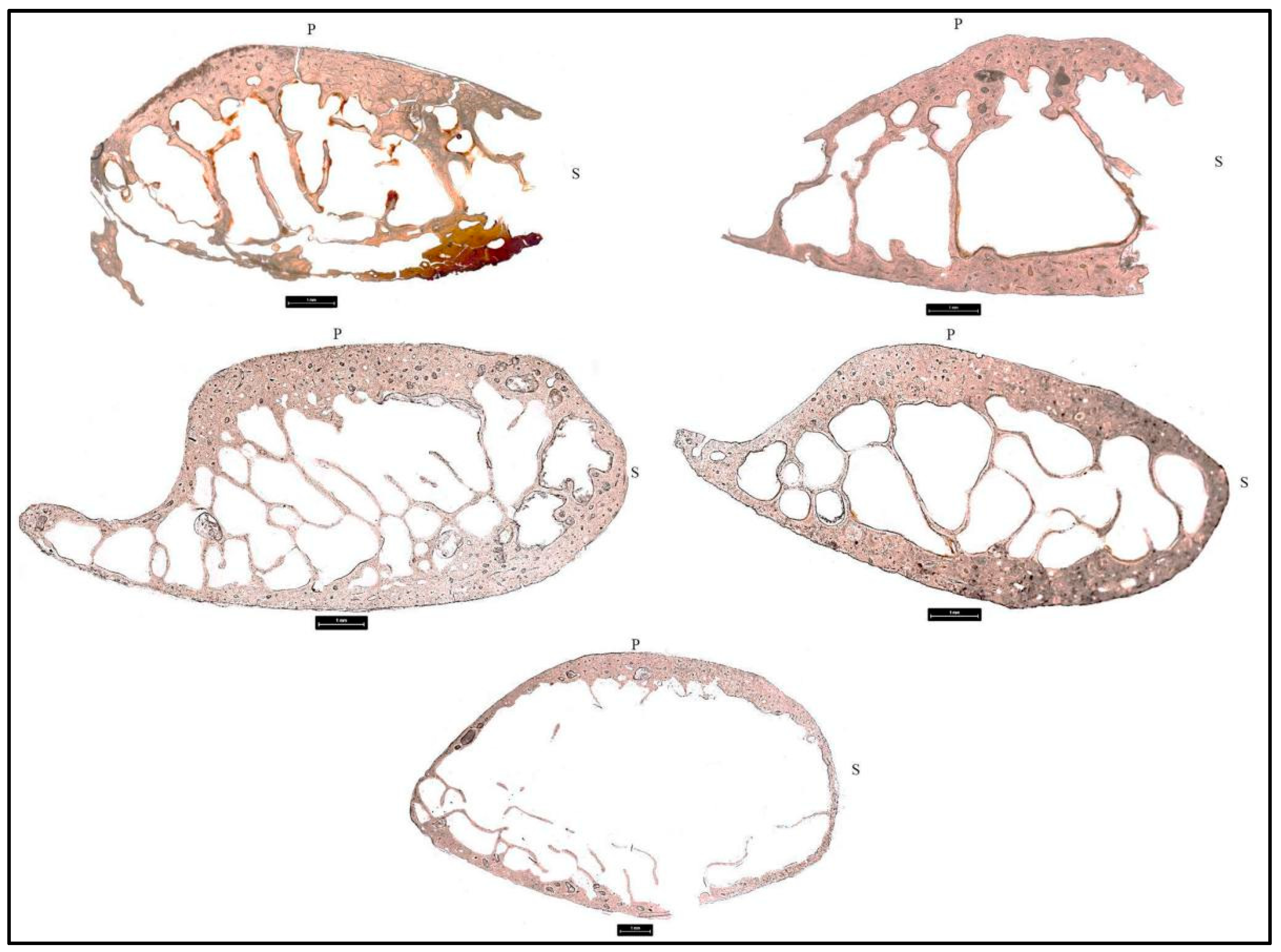 Biology 11 01569 g003