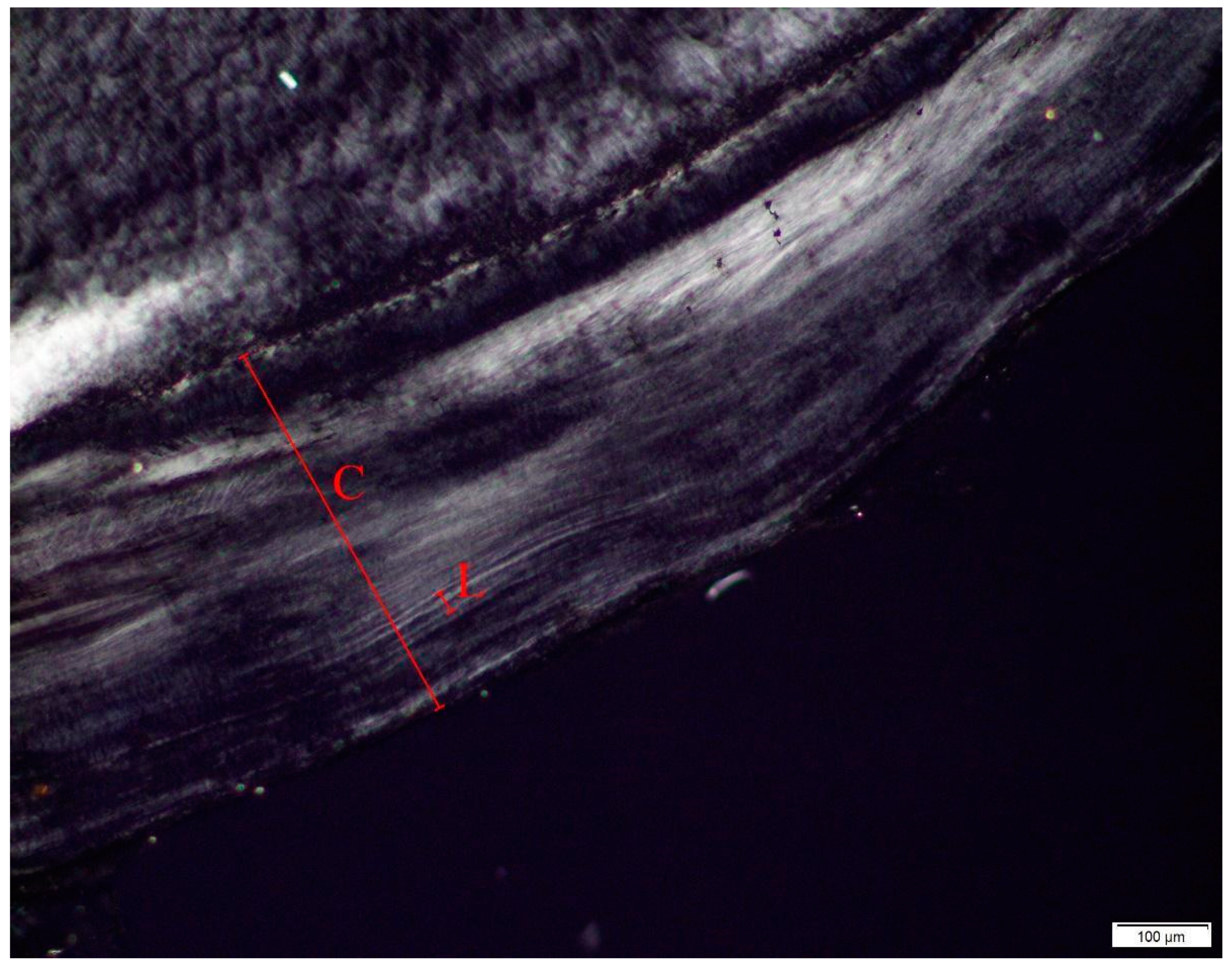 Biology 11 01569 g005