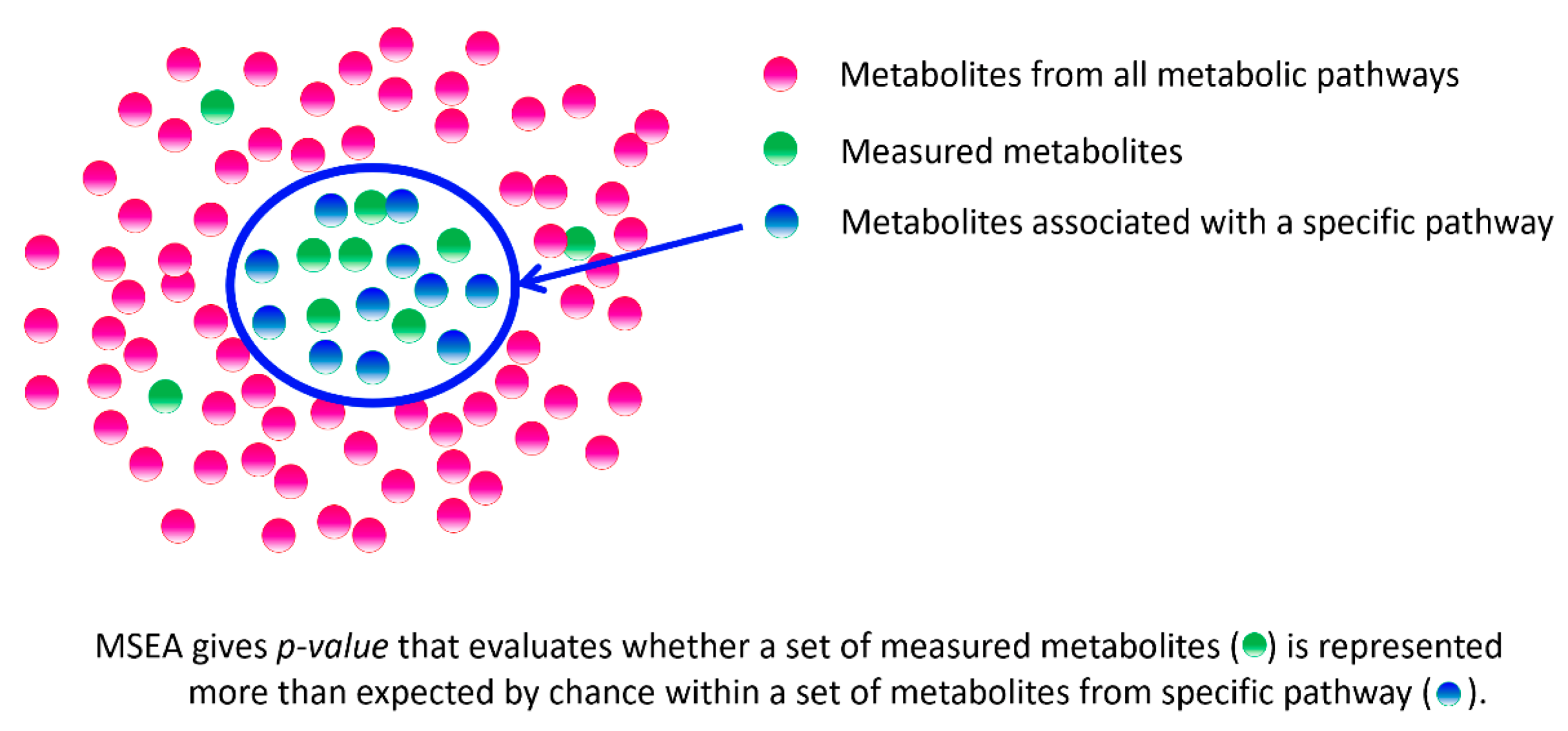 Biology 11 01570 g001
