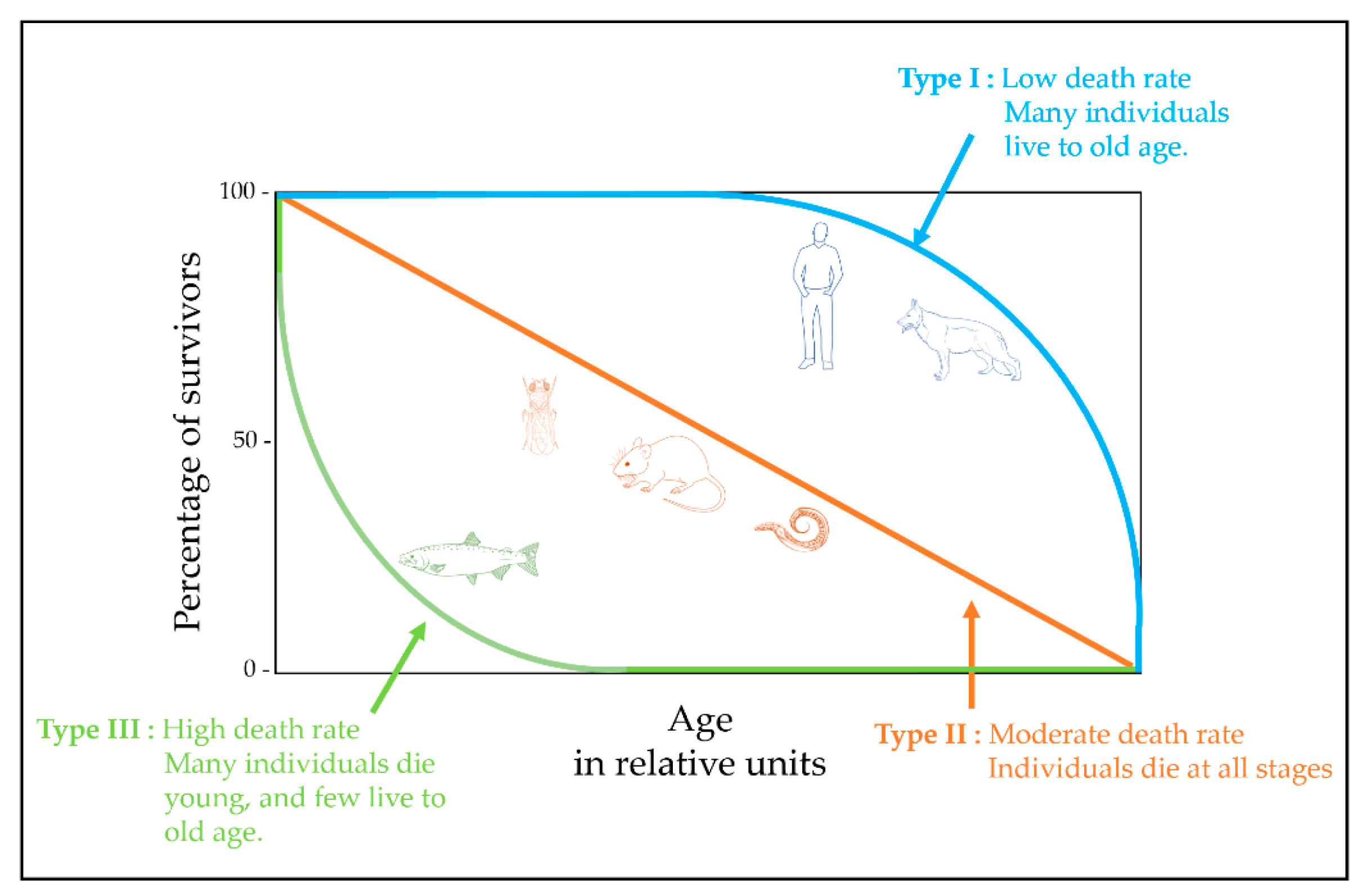 Biology 11 01570 g002
