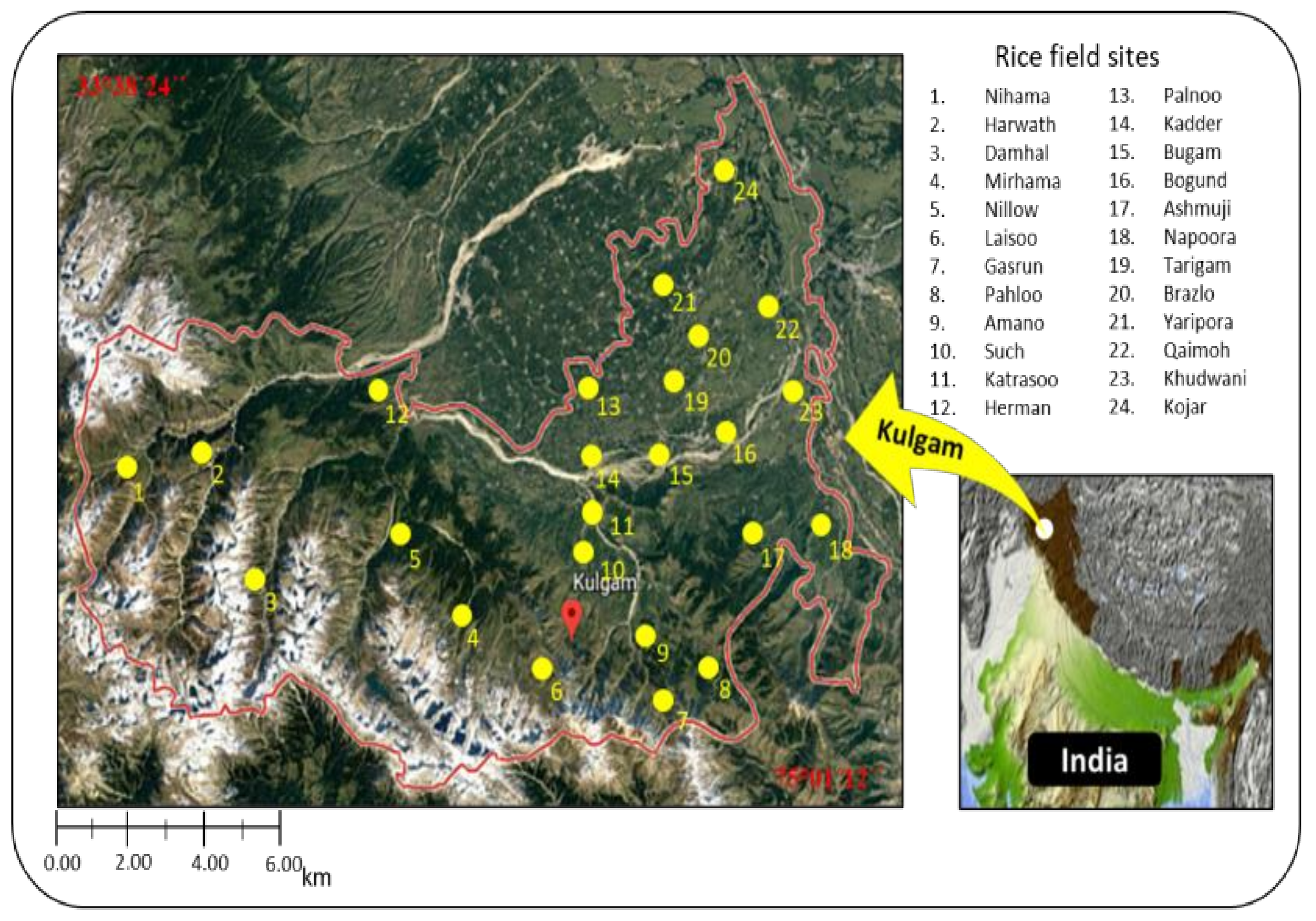 Biology 11 01572 g001 Biology 11 01572 g001