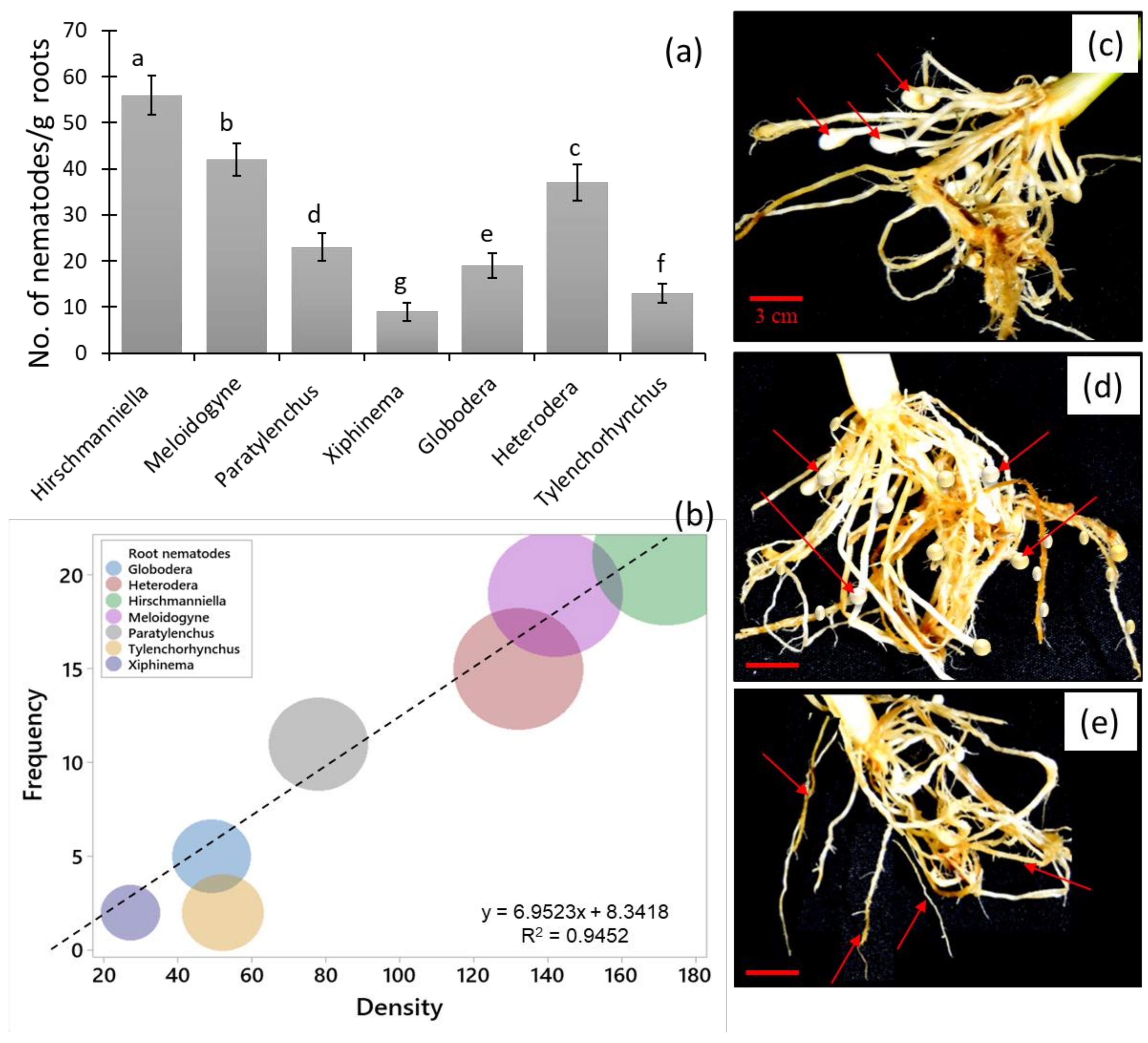 Biology 11 01572 g008 Biology 11 01572 g008