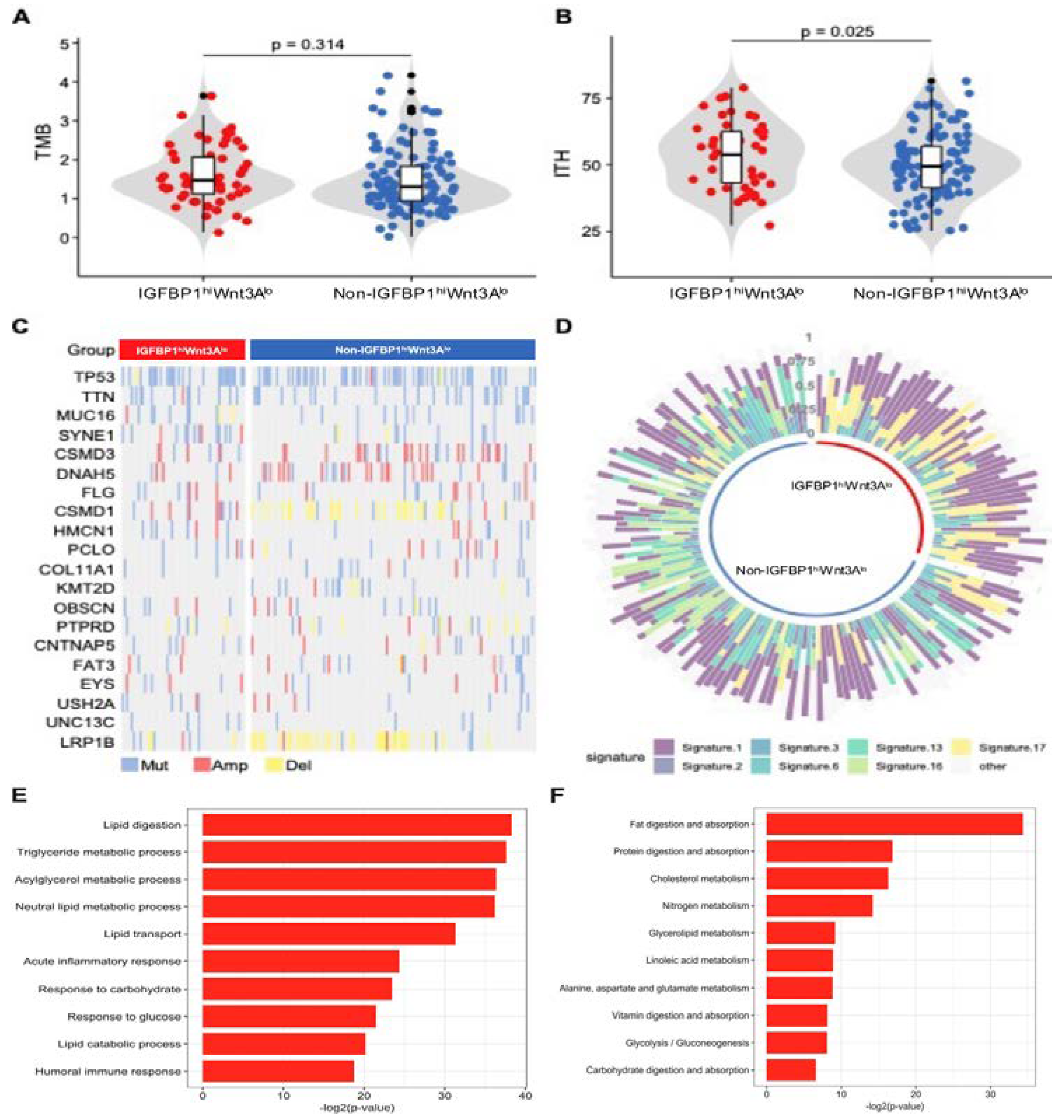 Biology 11 01575 g003 Biology 11 01575 g003