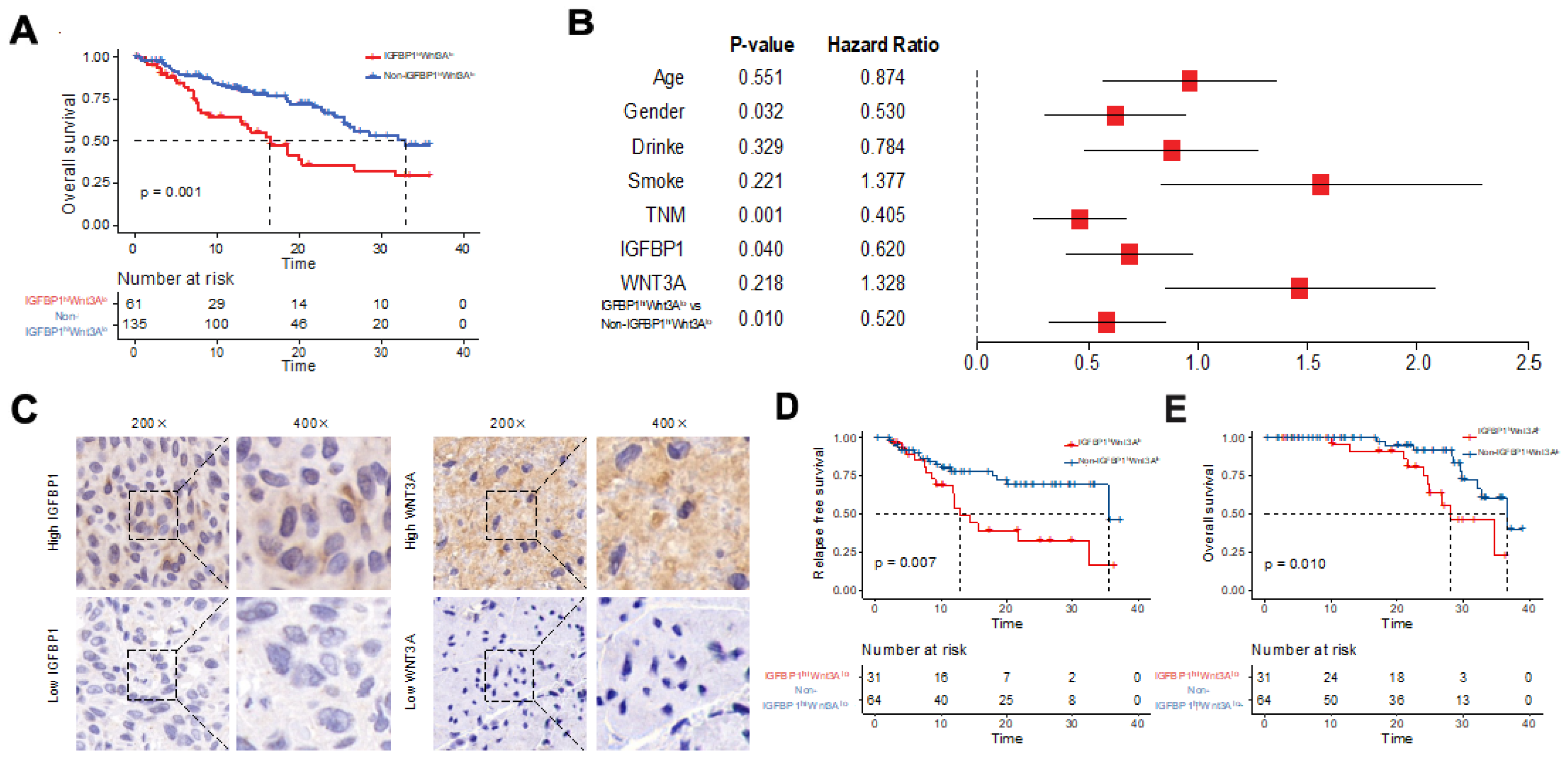 Biology 11 01575 g004 Biology 11 01575 g004