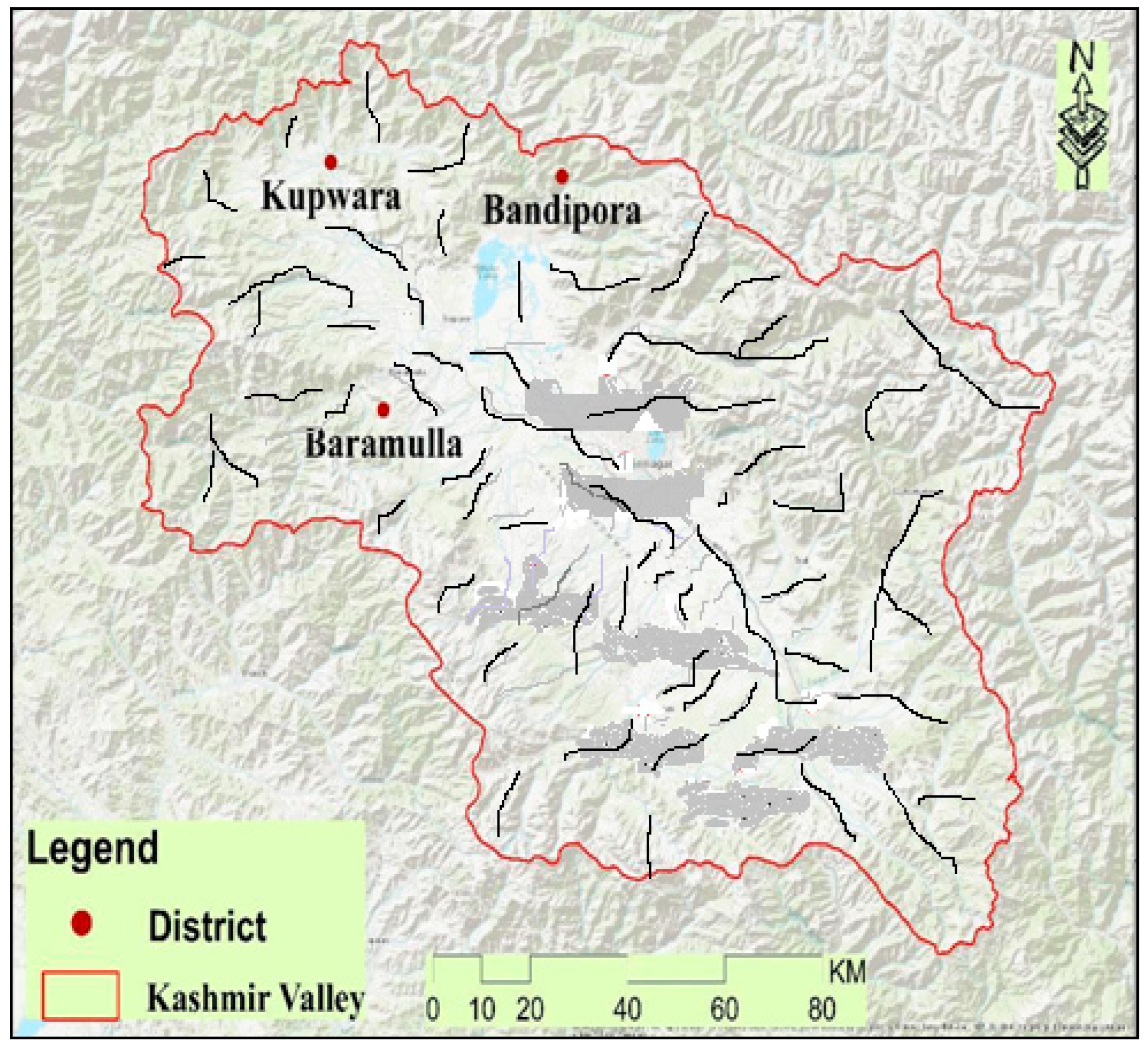 Biology 11 01578 g001 Biology 11 01578 g001