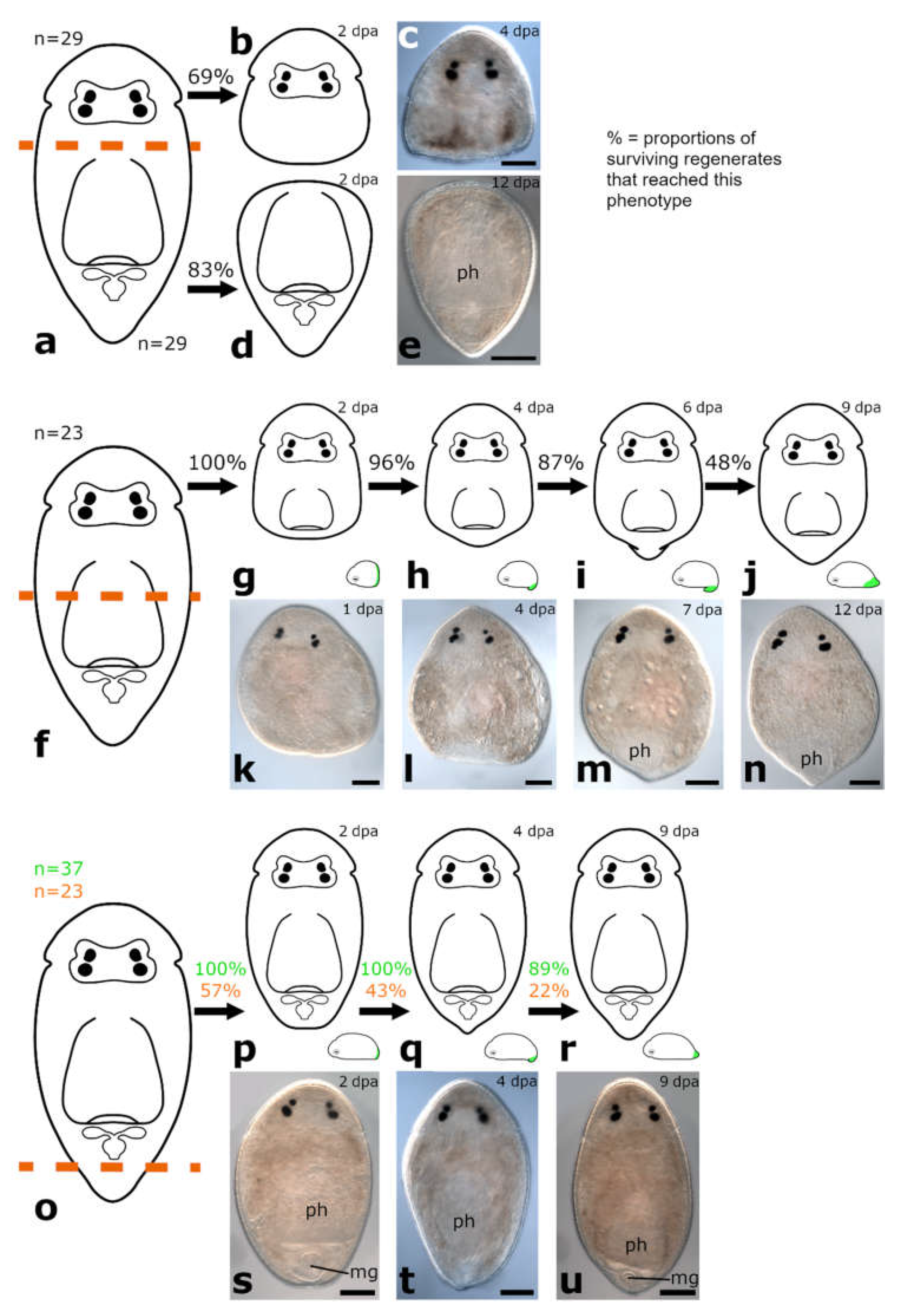 Biology 11 01588 g004