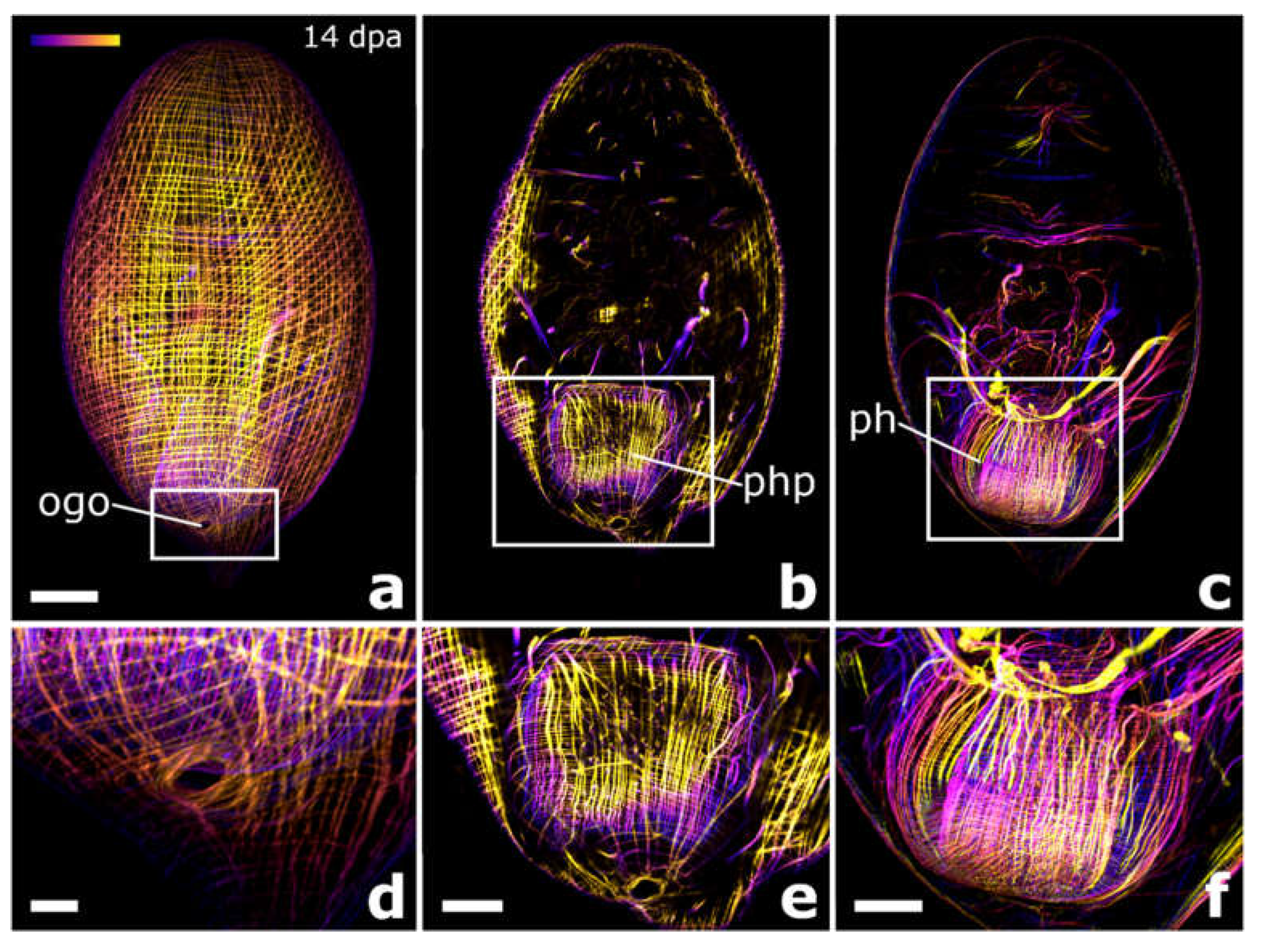 Biology 11 01588 g006