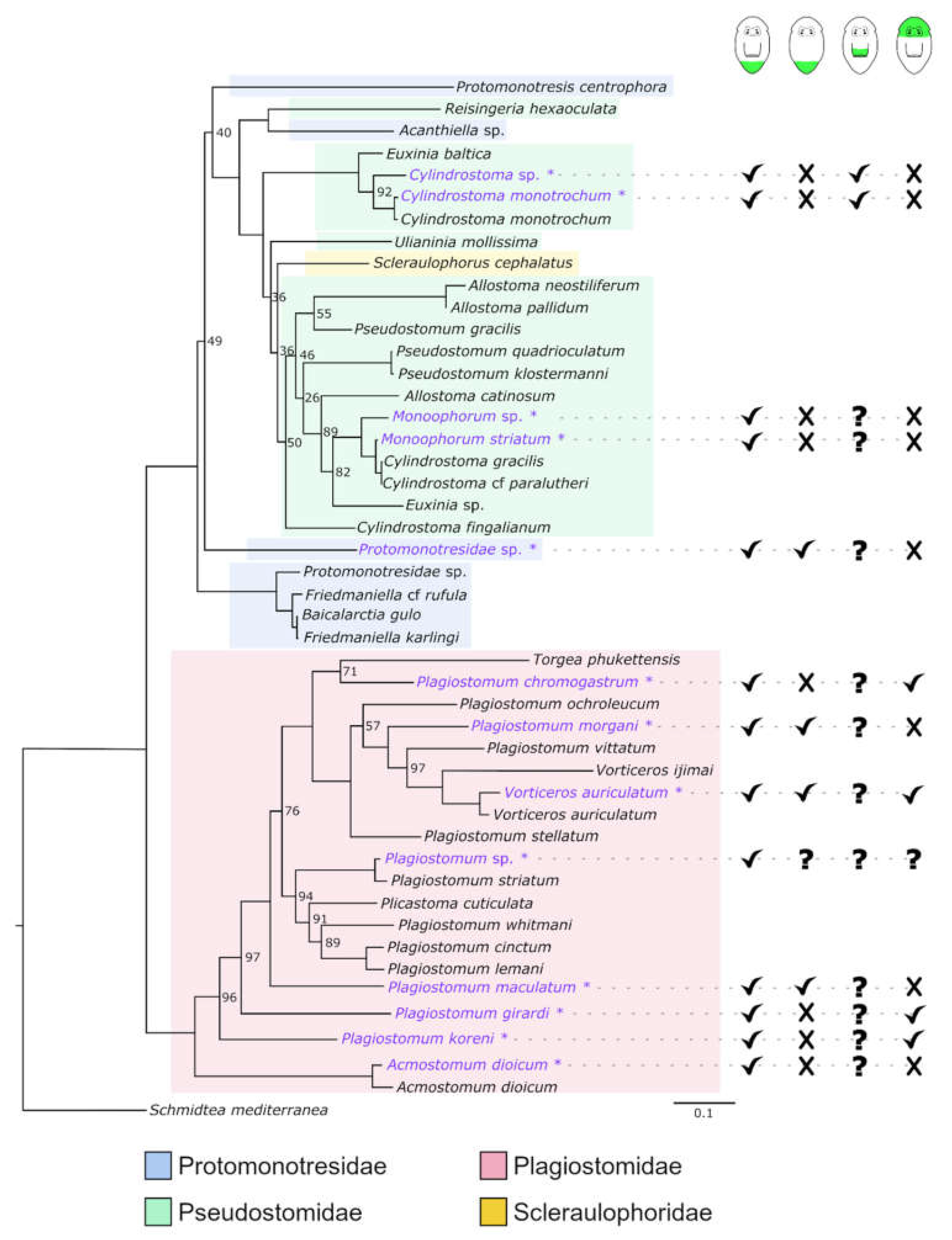 Biology 11 01588 g014