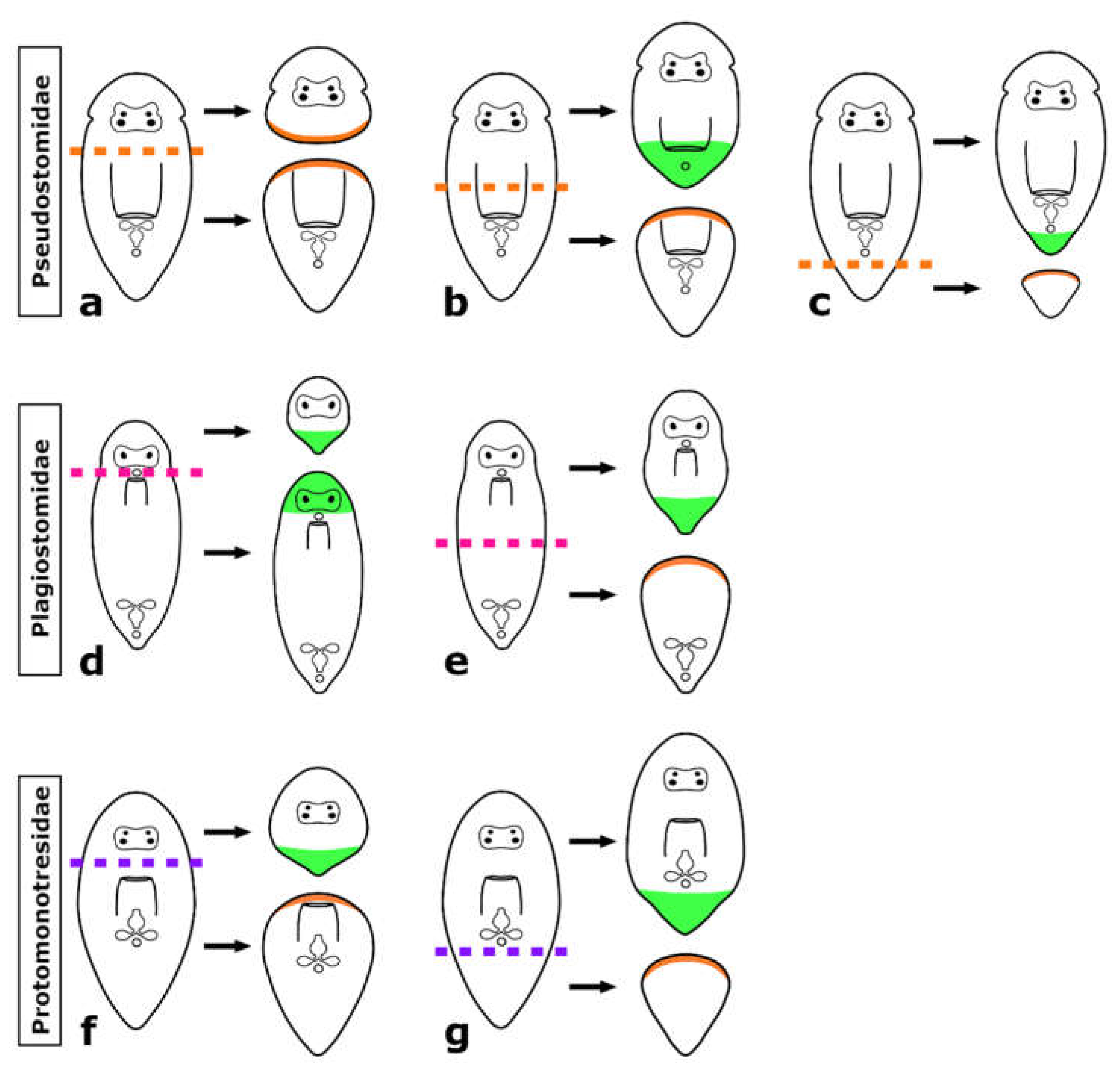 Biology 11 01588 g015