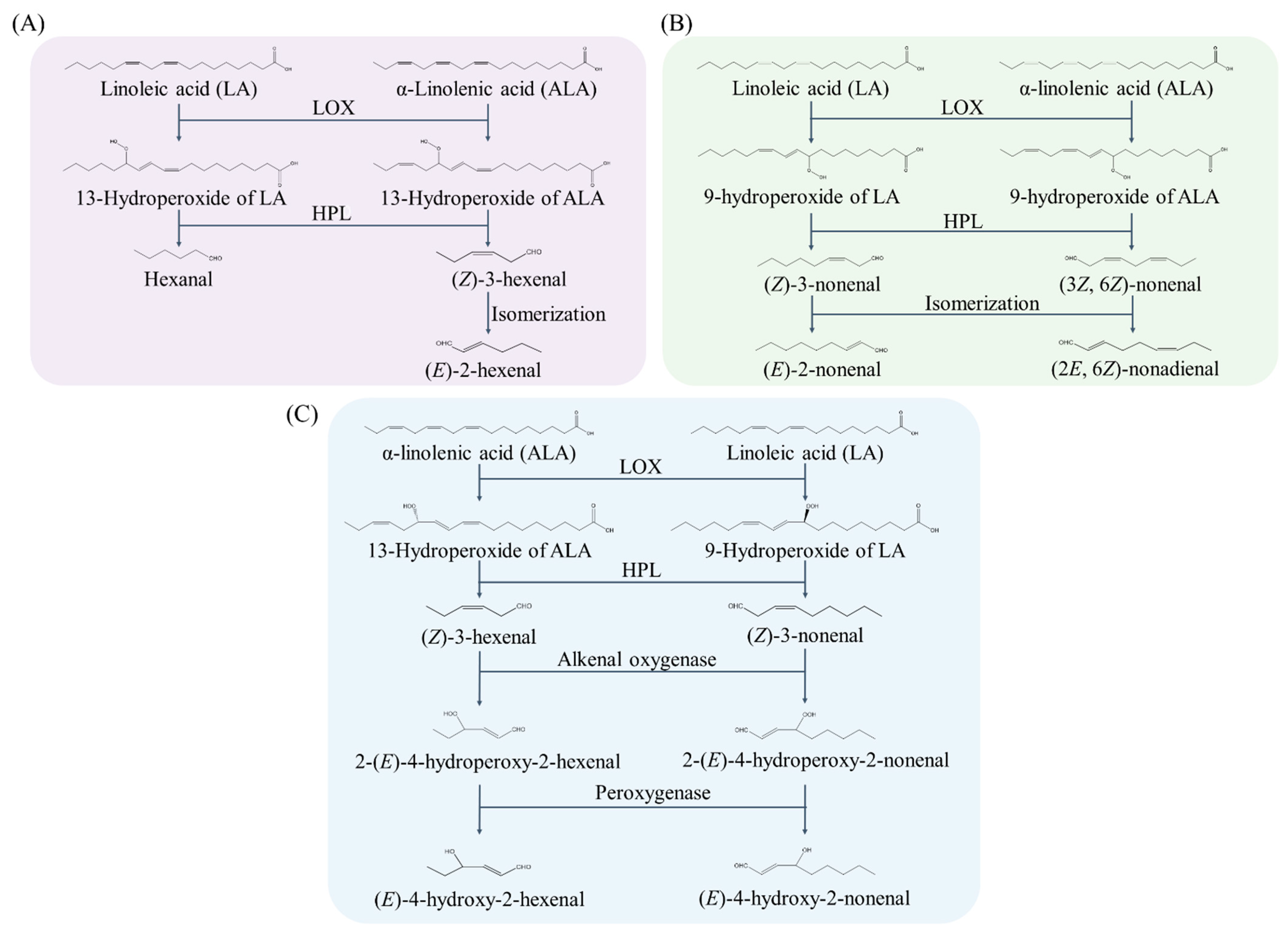 Biology 11 01590 g003 Biology 11 01590 g003
