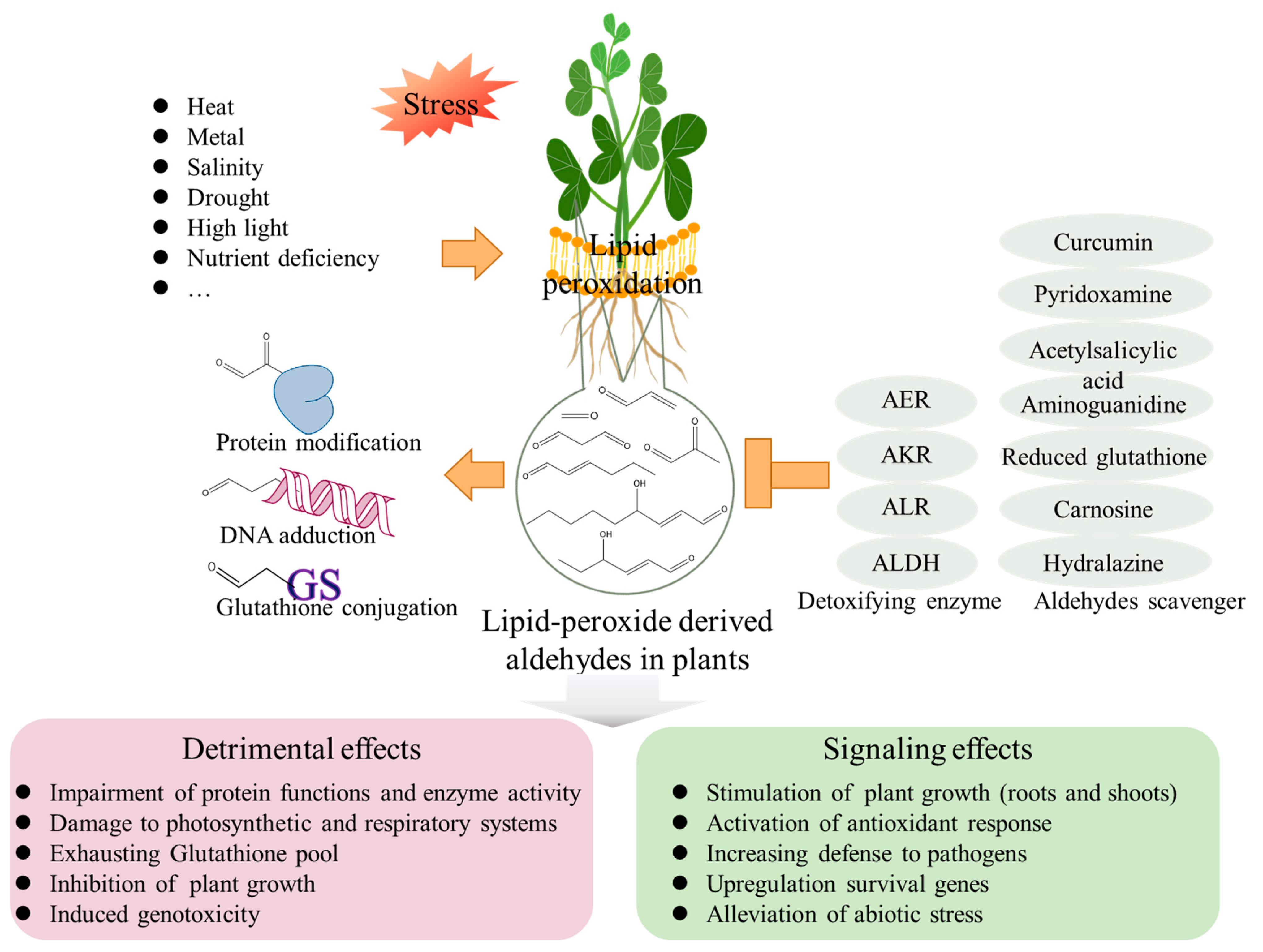 Biology 11 01590 g004 Biology 11 01590 g004