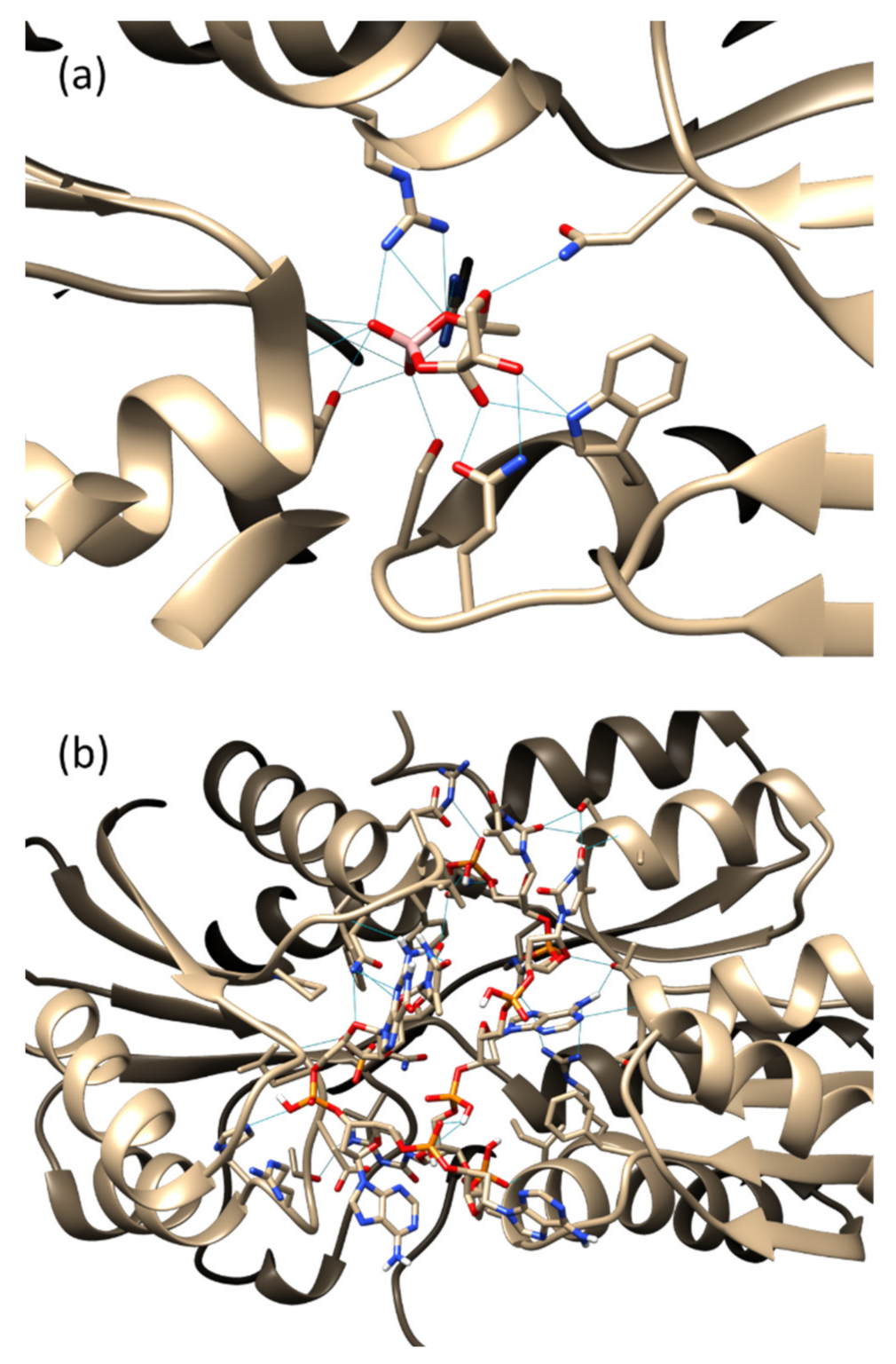 Biology 11 01600 g001