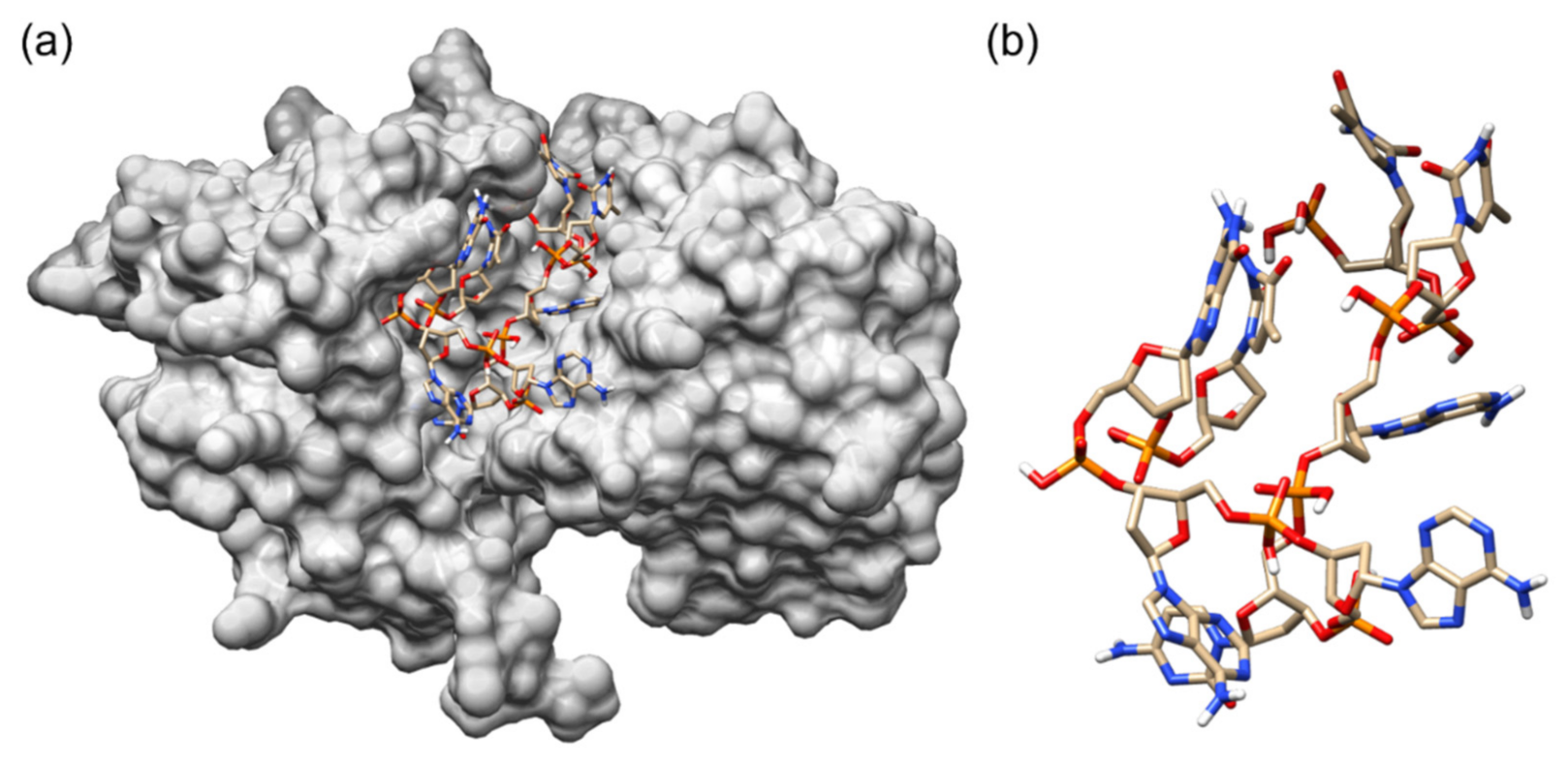 Biology 11 01600 g002