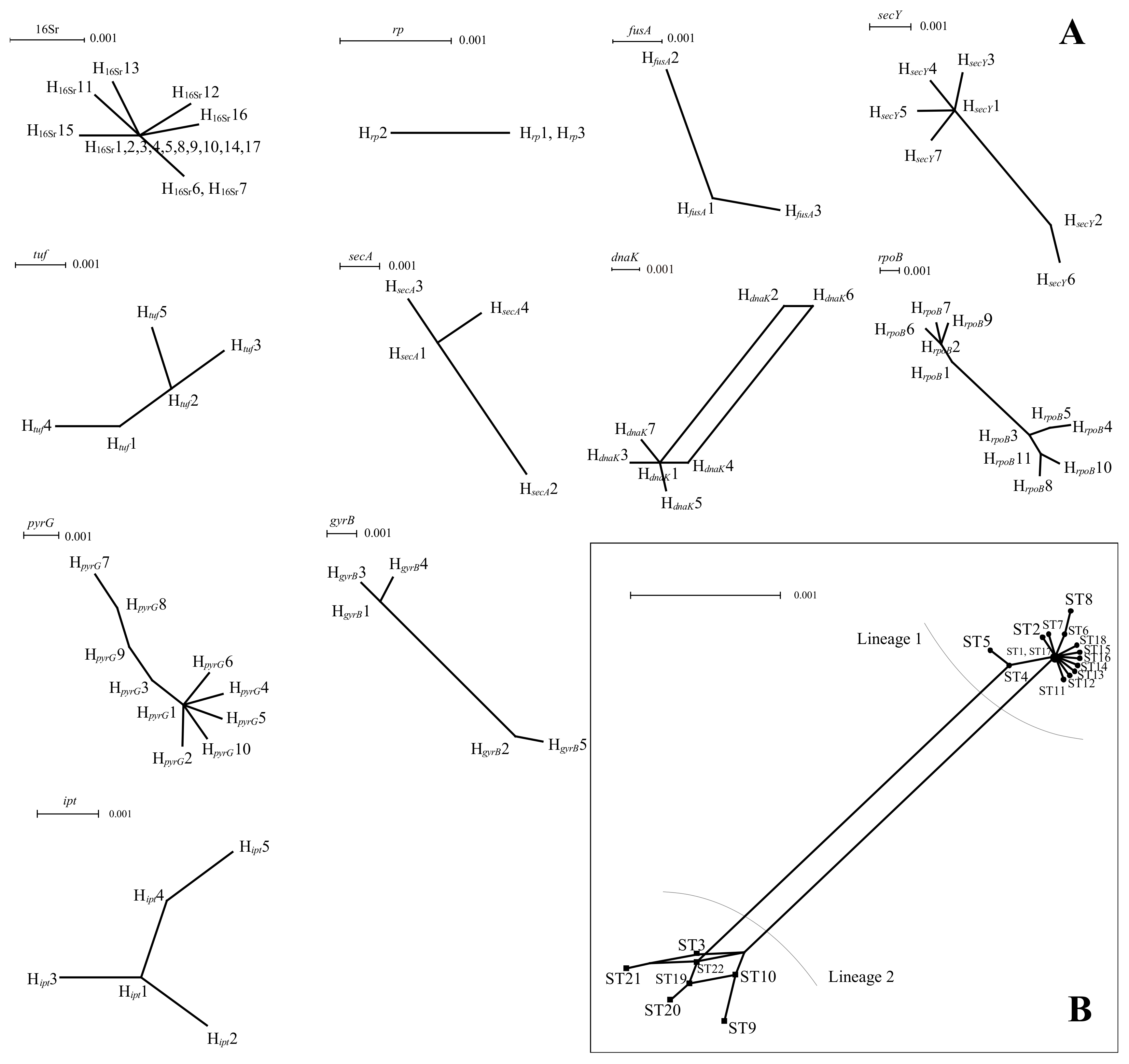 Biology 11 01611 g003