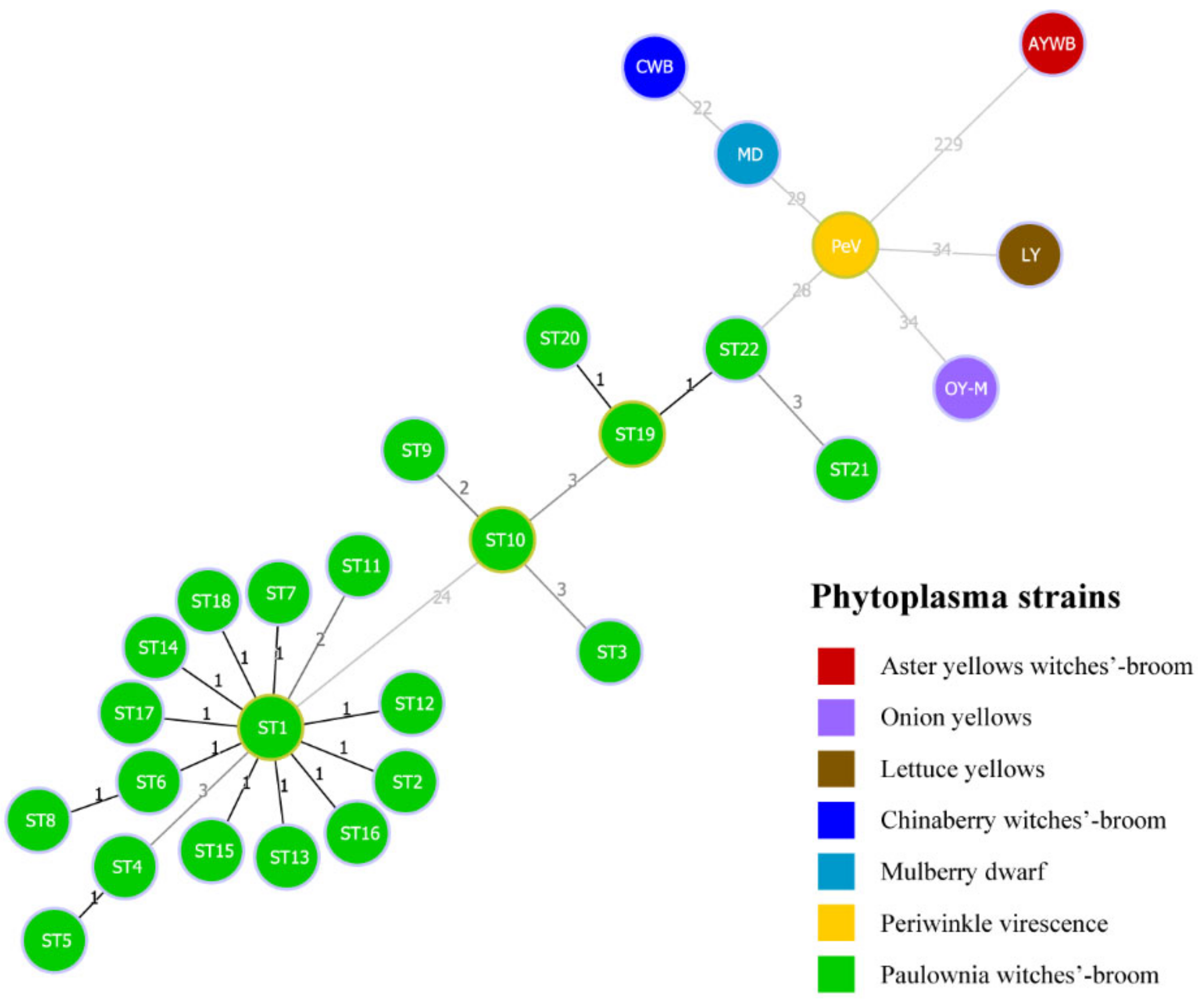 Biology 11 01611 g005