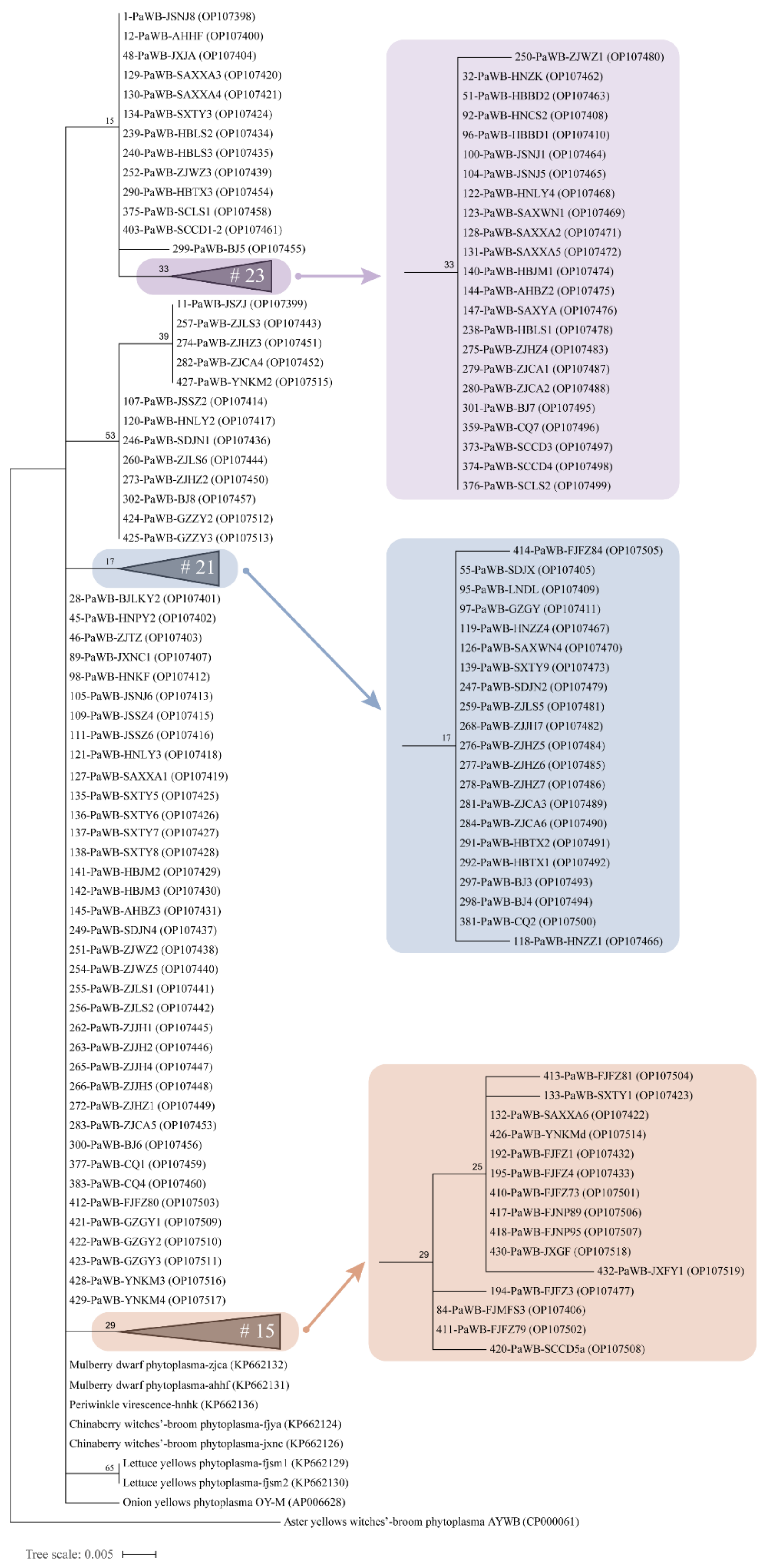 Biology 11 01611 g007