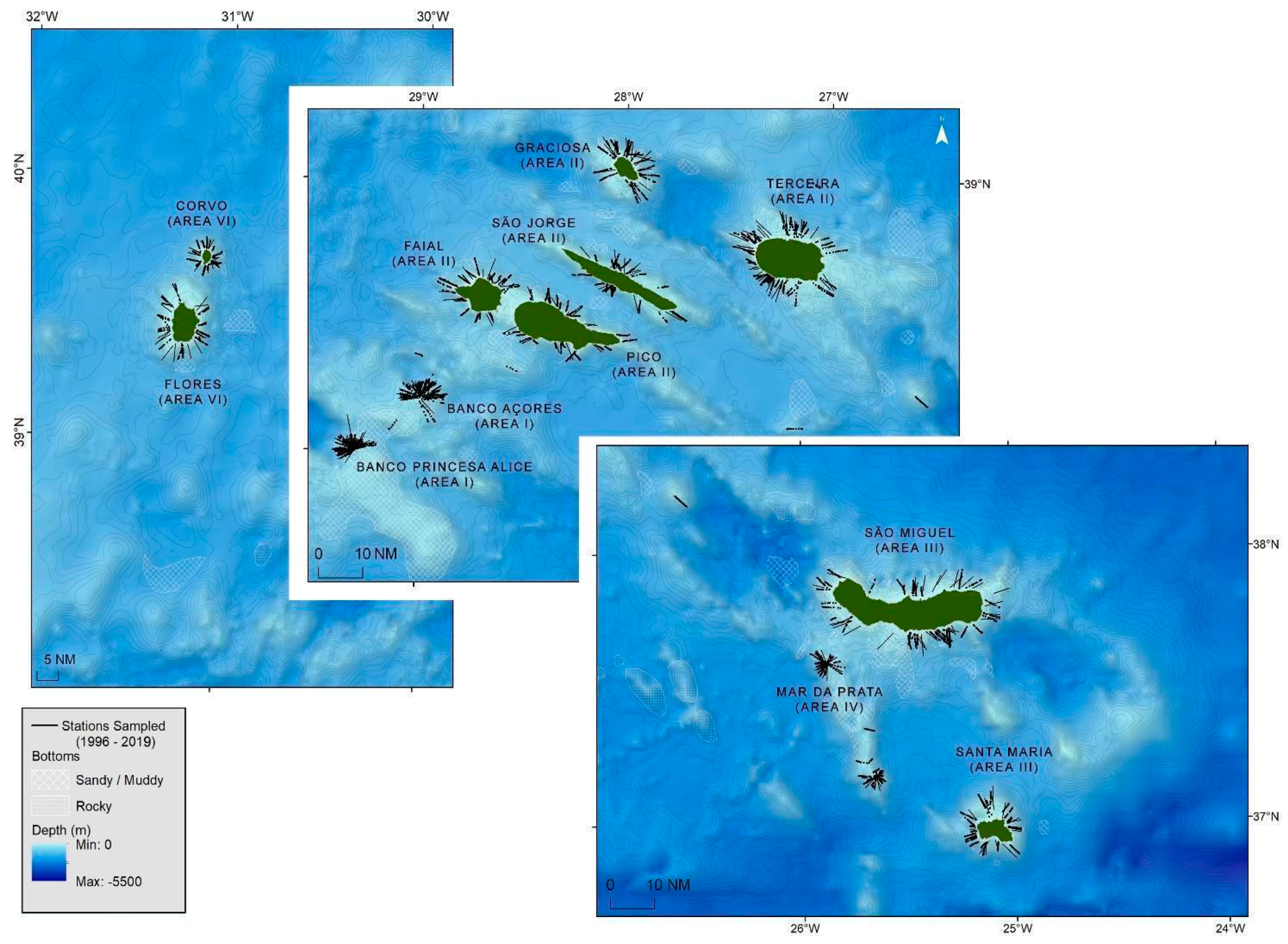 Biology 11 01619 g001