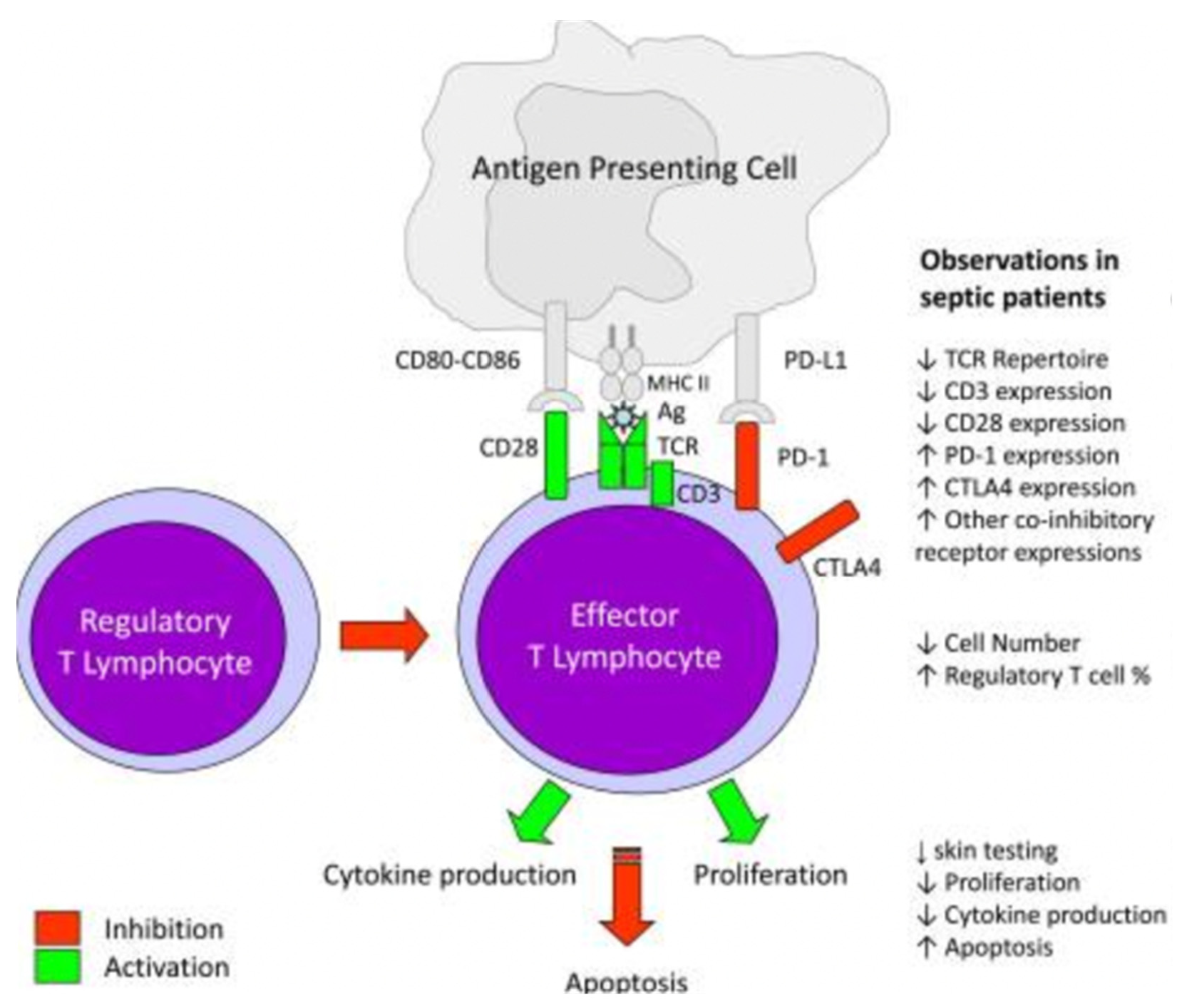 Biology 11 01626 g001
