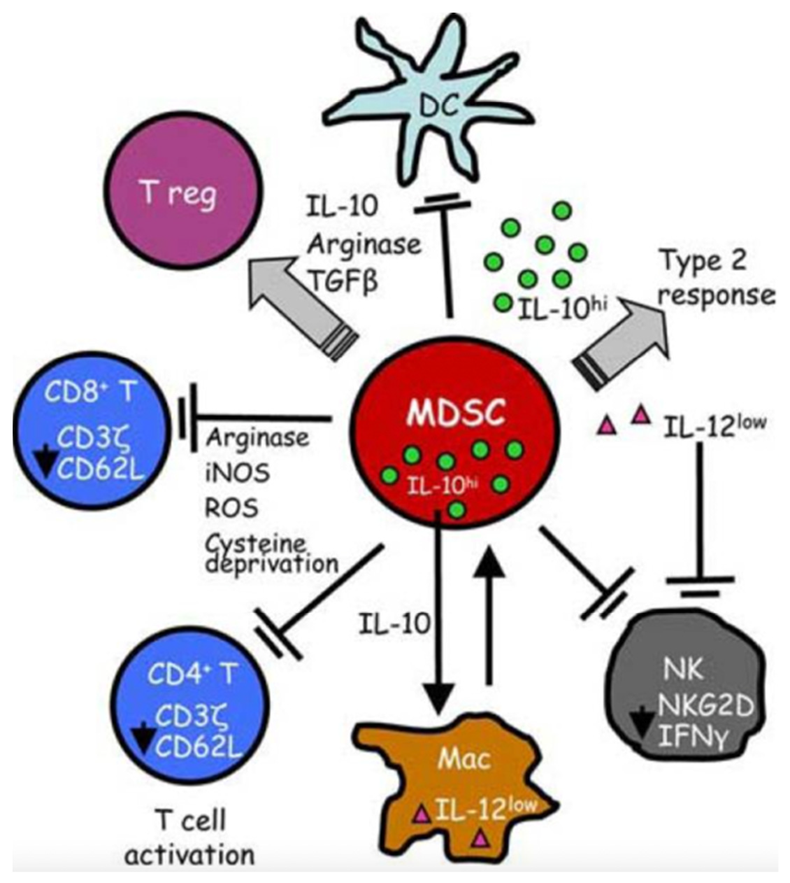 Biology 11 01626 g002