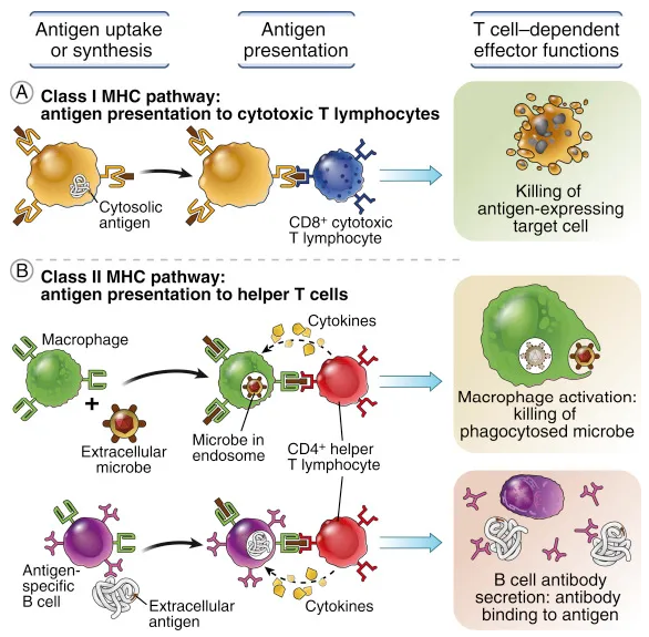 Biology 11 01626 g004