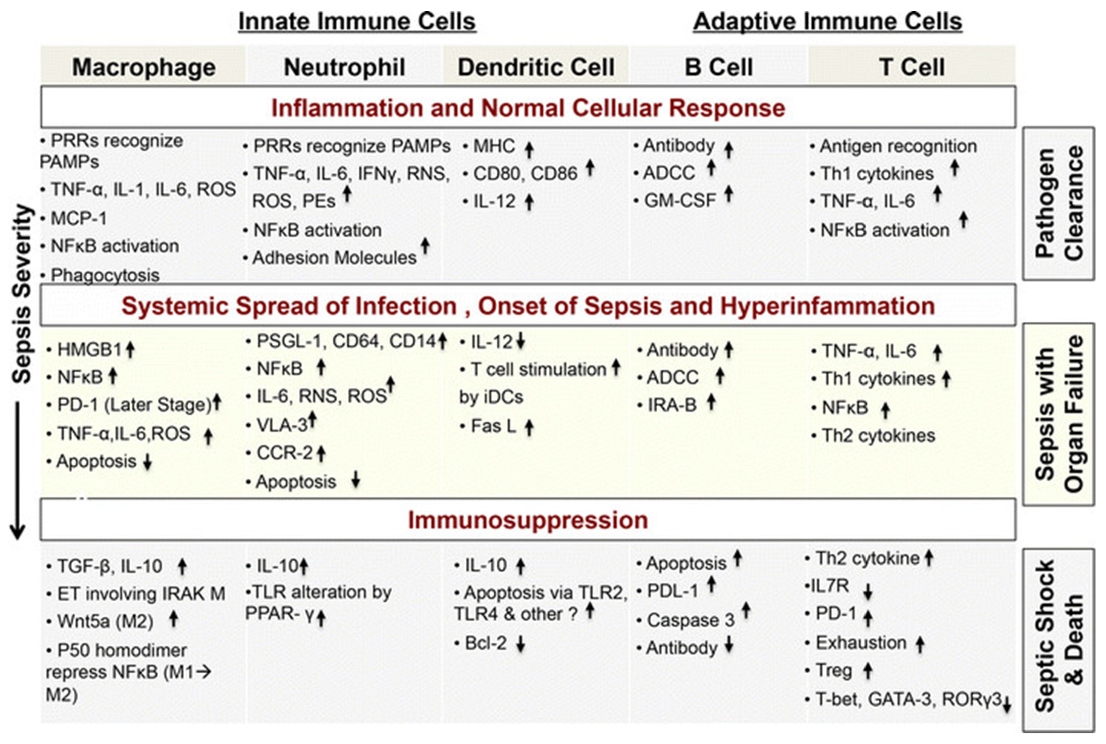 Biology 11 01626 g005