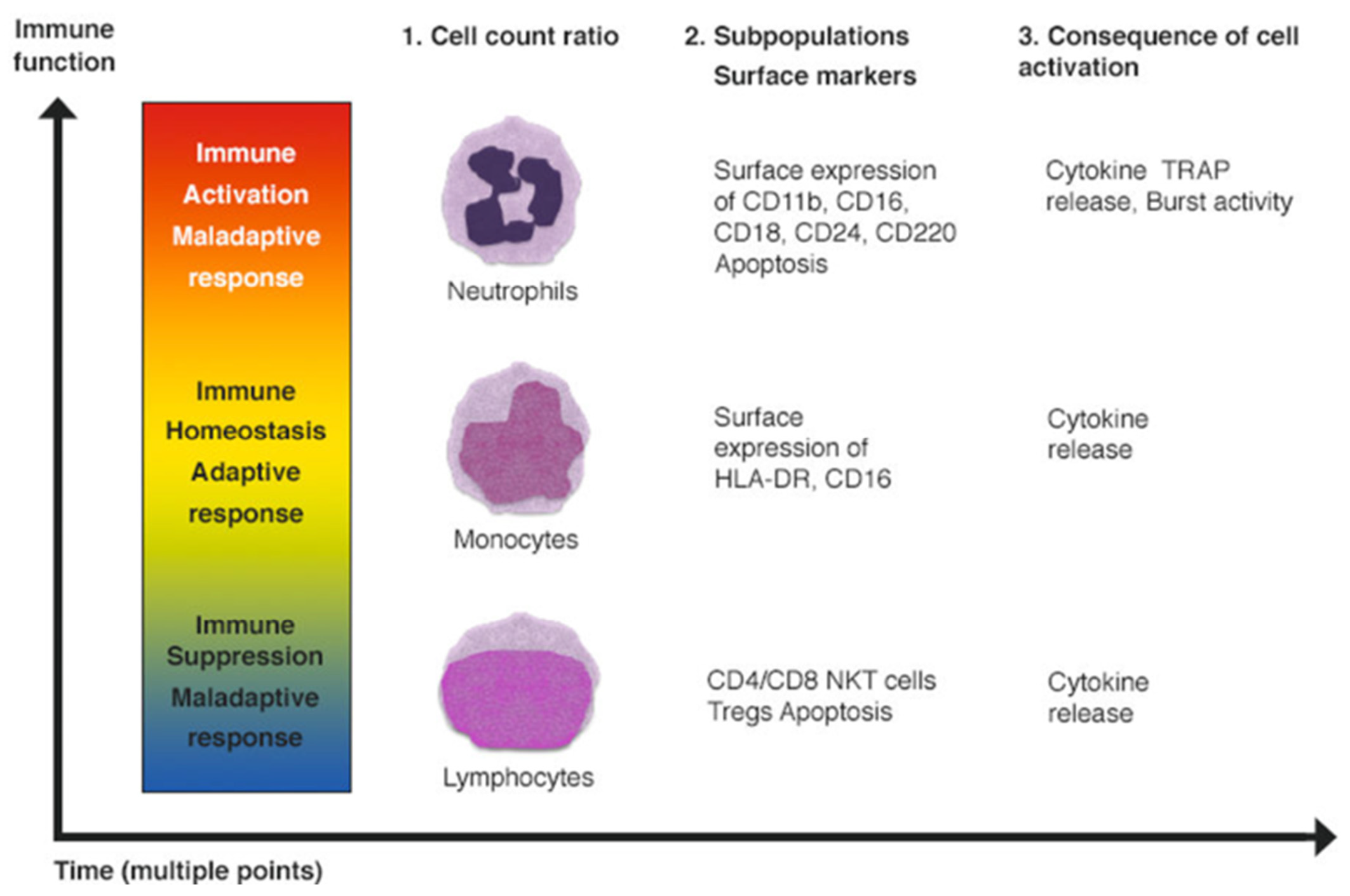 Biology 11 01626 g007