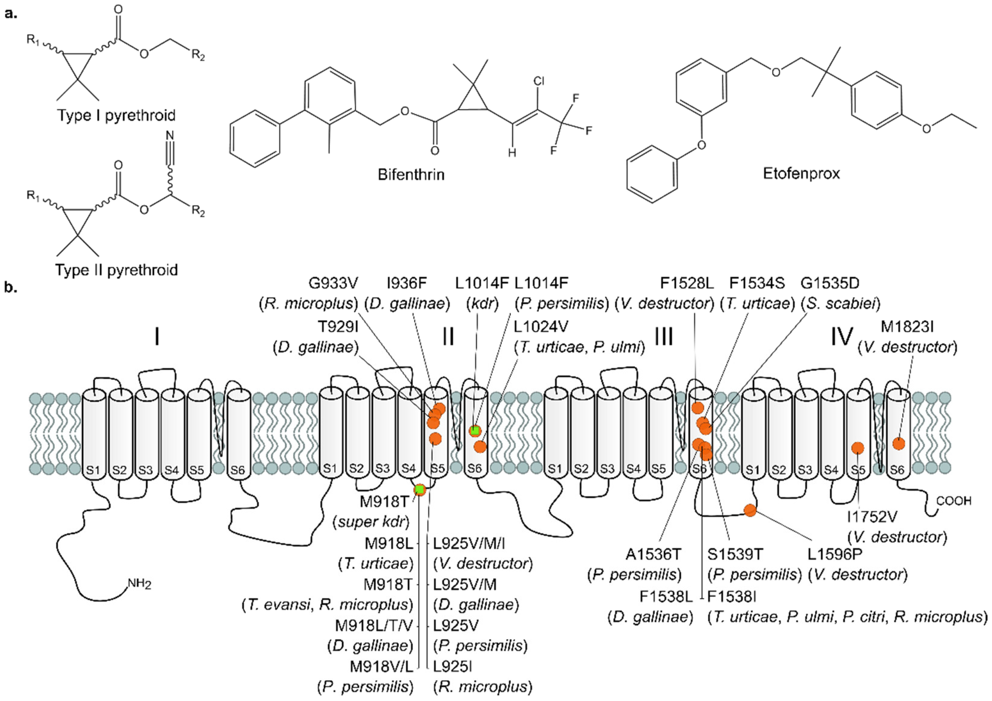 Biology 11 01630 g001