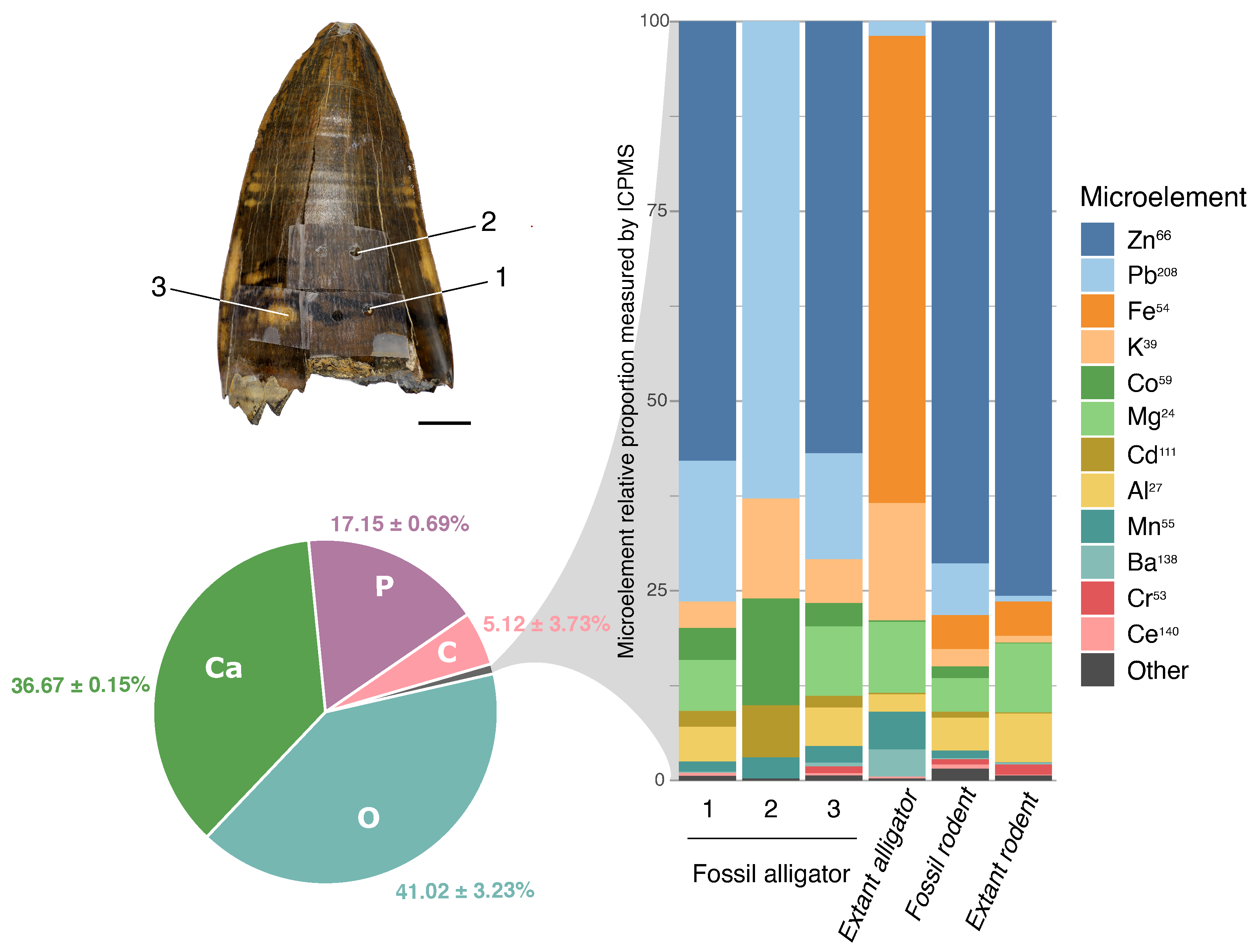 Biology 11 01636 g009 Biology 11 01636 g009