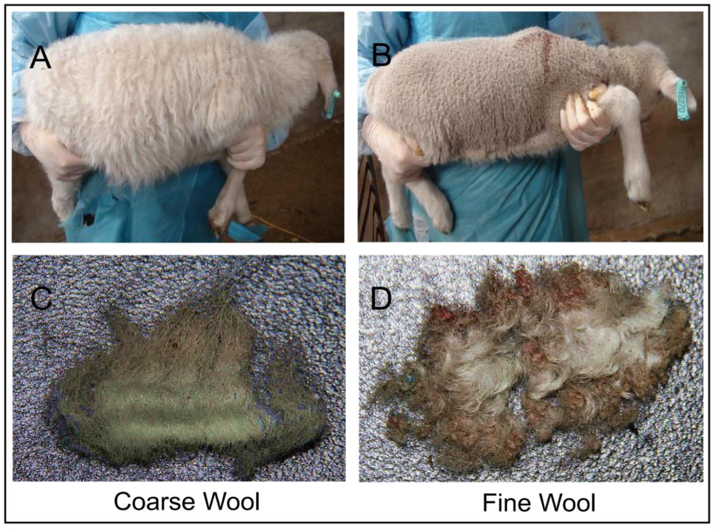 Biology 11 01637 g001