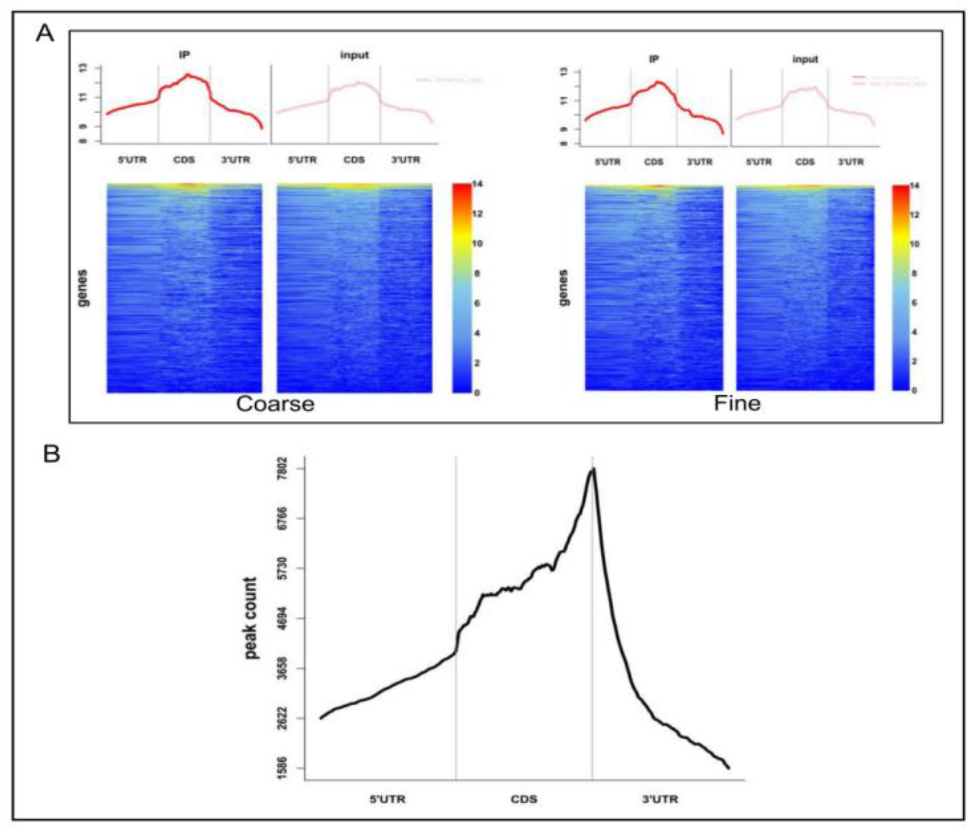 Biology 11 01637 g003