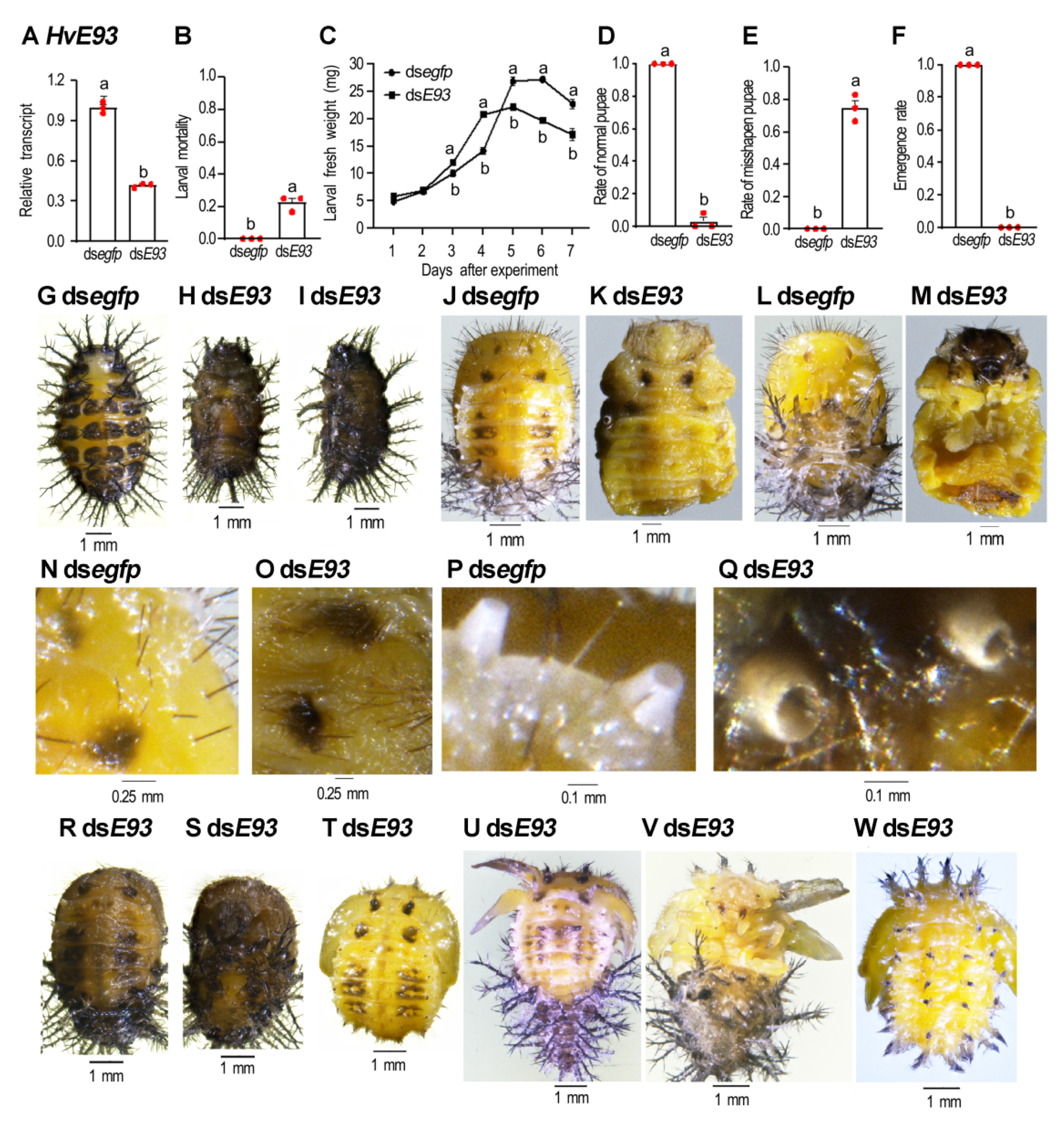 Biology 11 01640 g003
