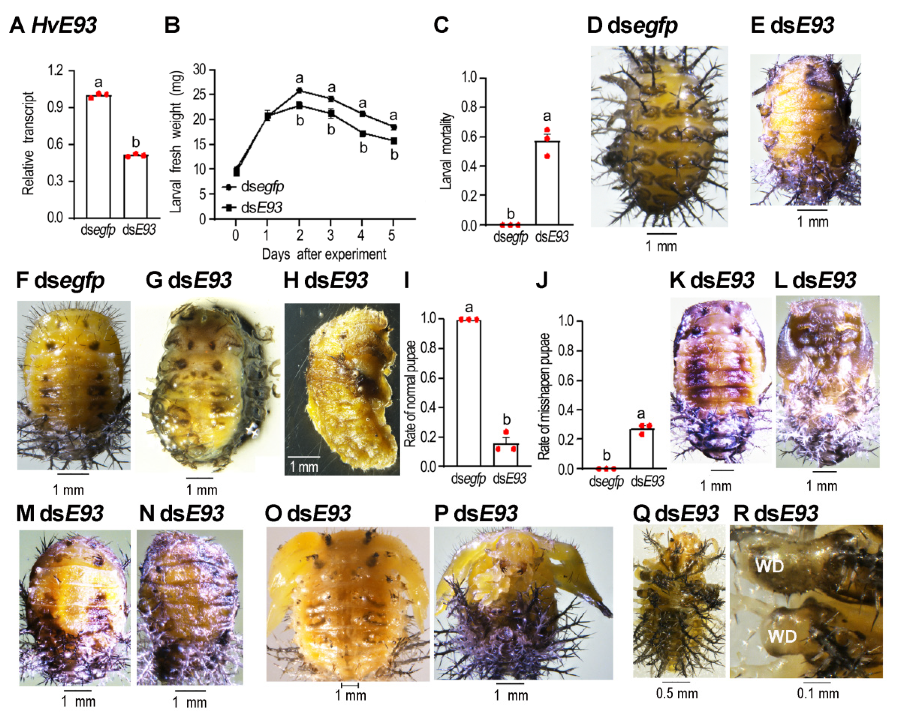 Biology 11 01640 g004