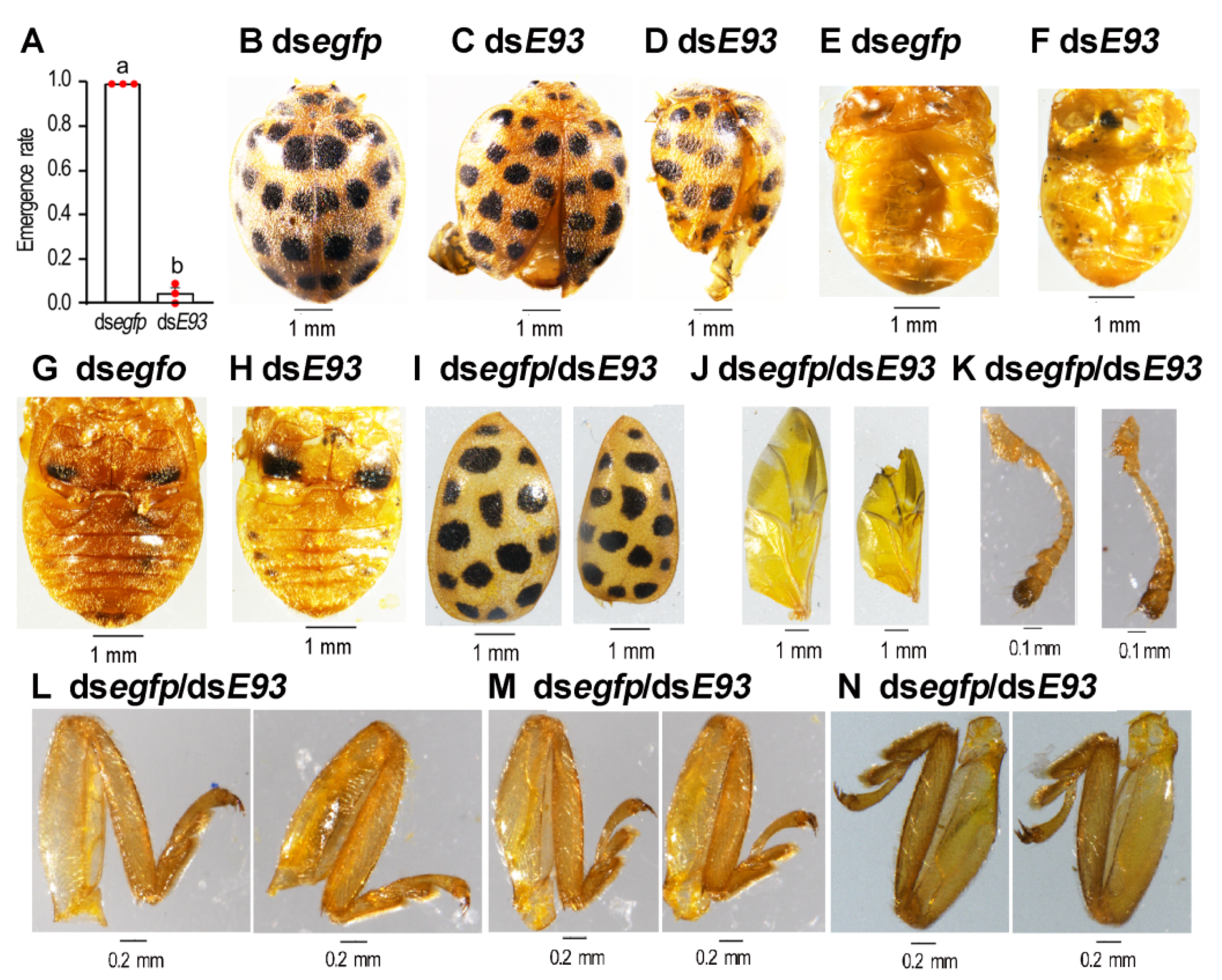 Biology 11 01640 g005