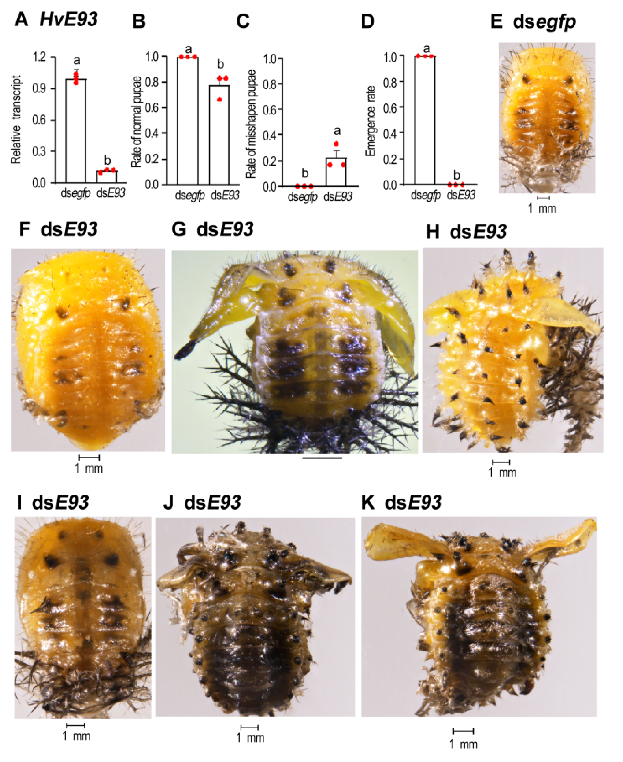 Biology 11 01640 g006