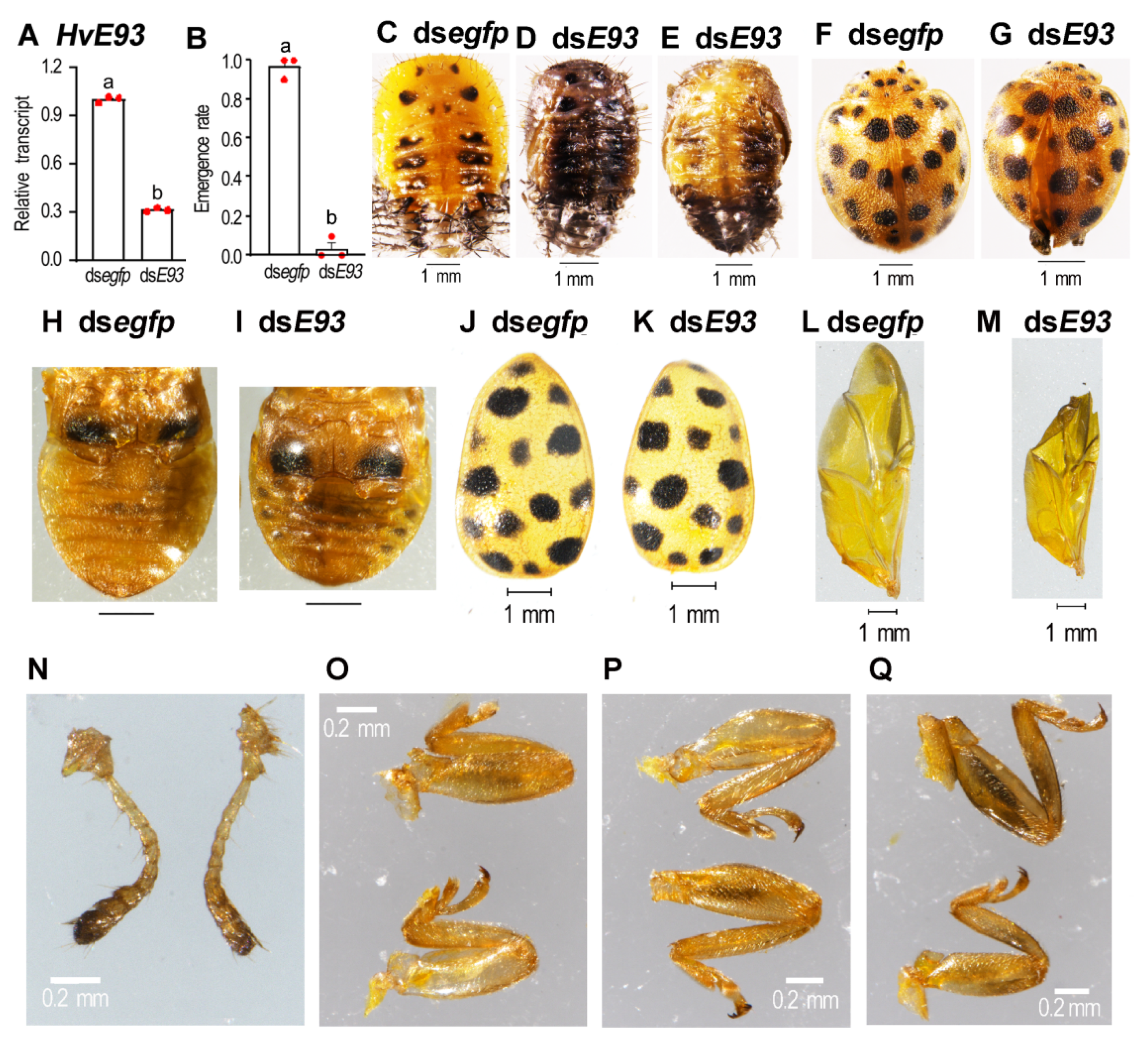 Biology 11 01640 g007