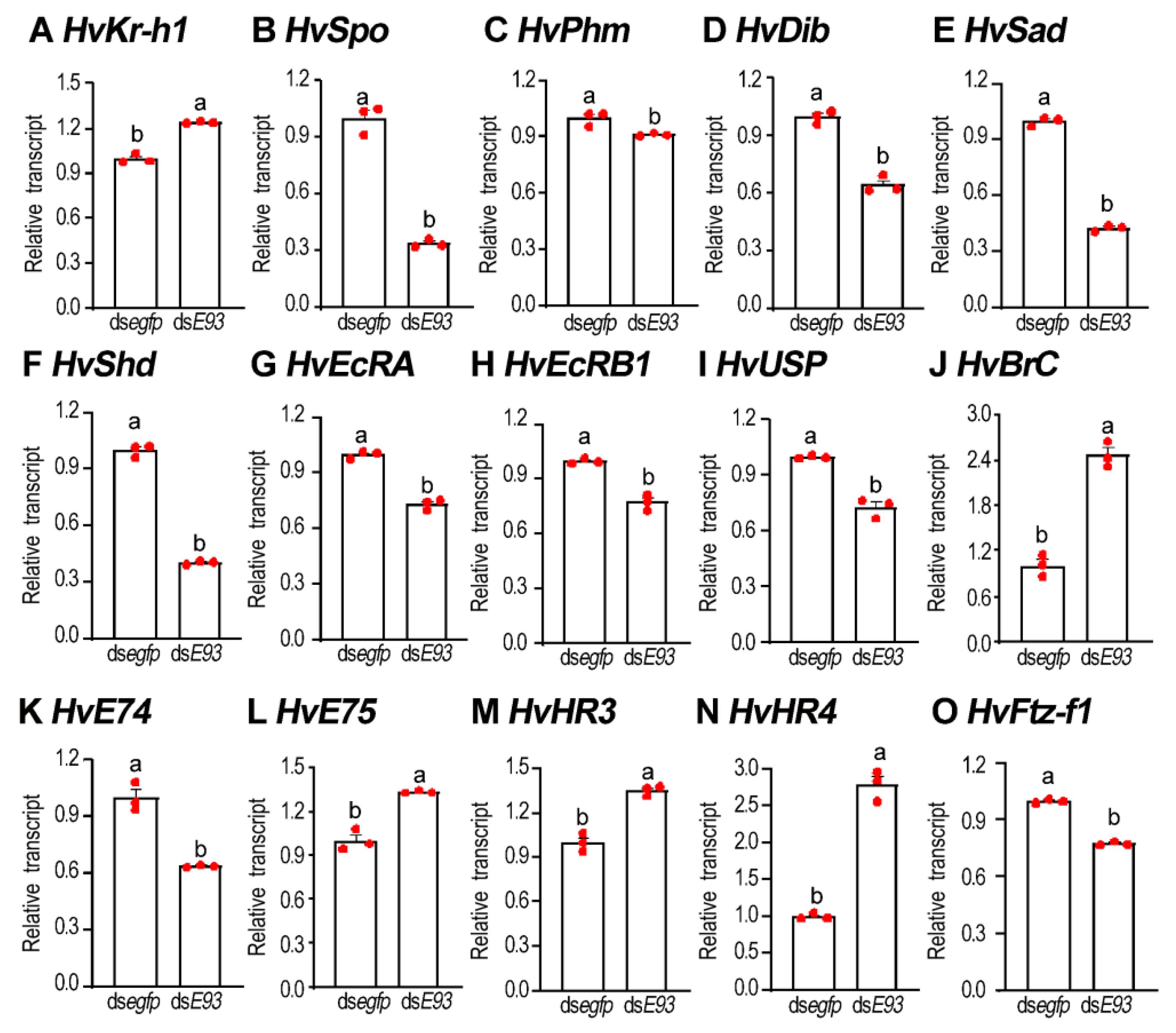 Biology 11 01640 g008