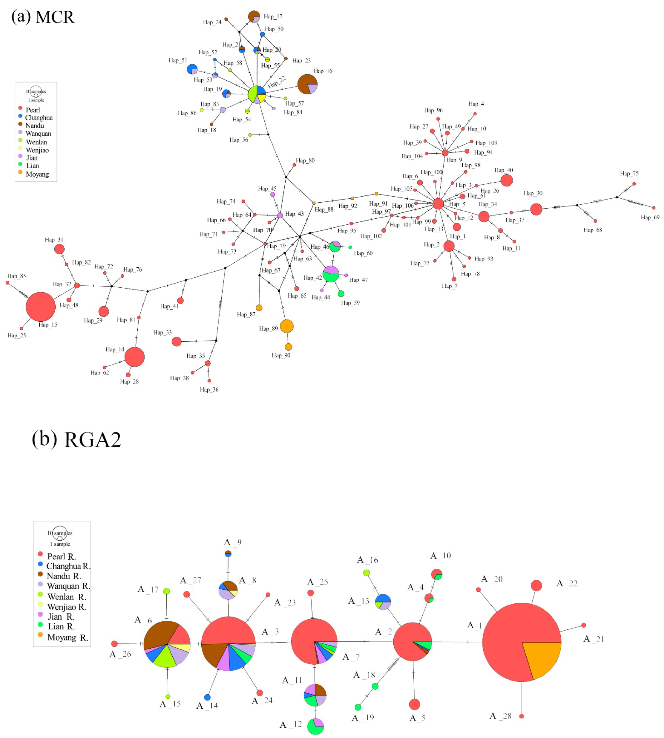 Biology 11 01641 g002 Biology 11 01641 g002