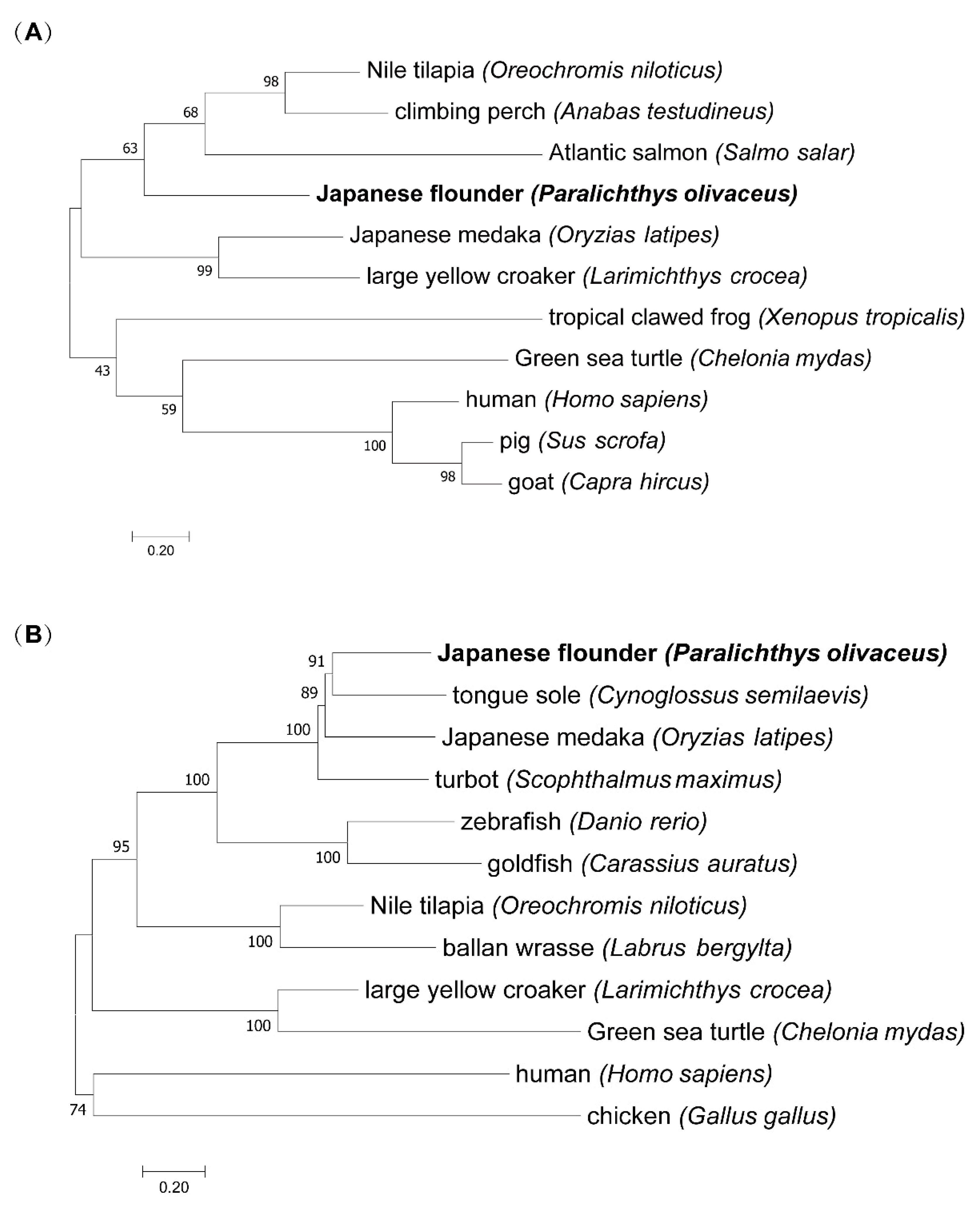 Biology 11 01656 g003