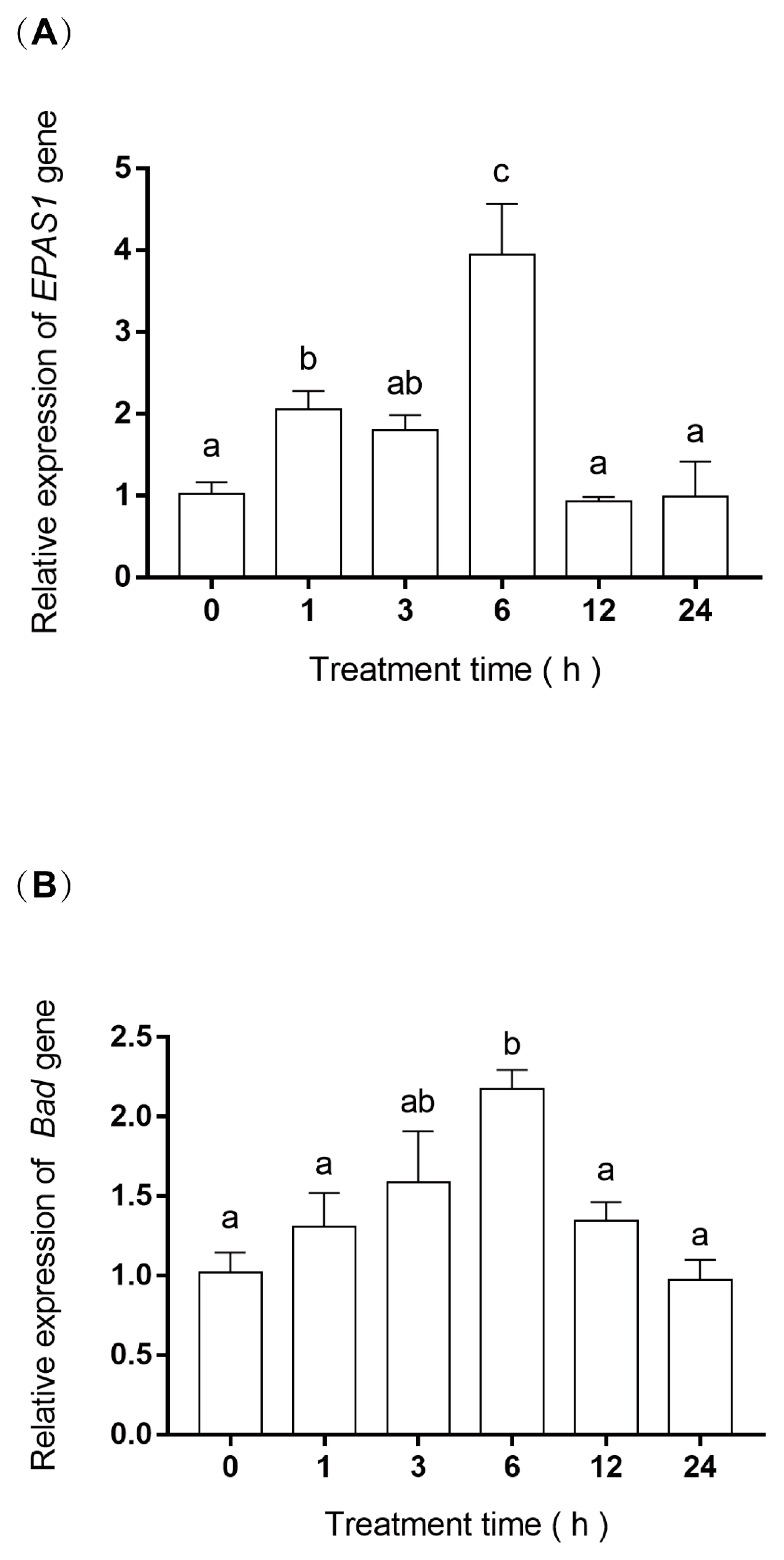 Biology 11 01656 g004