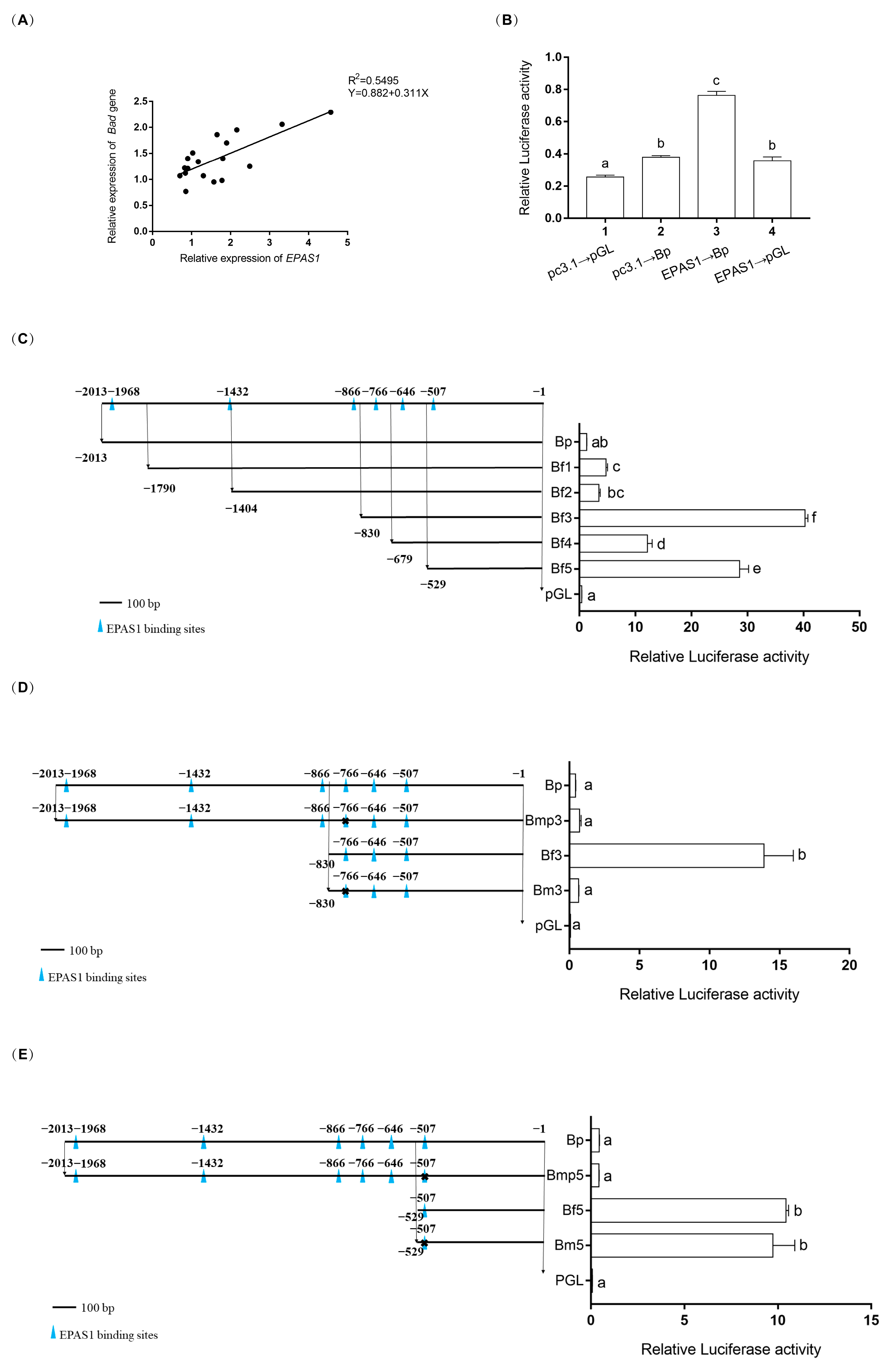Biology 11 01656 g005