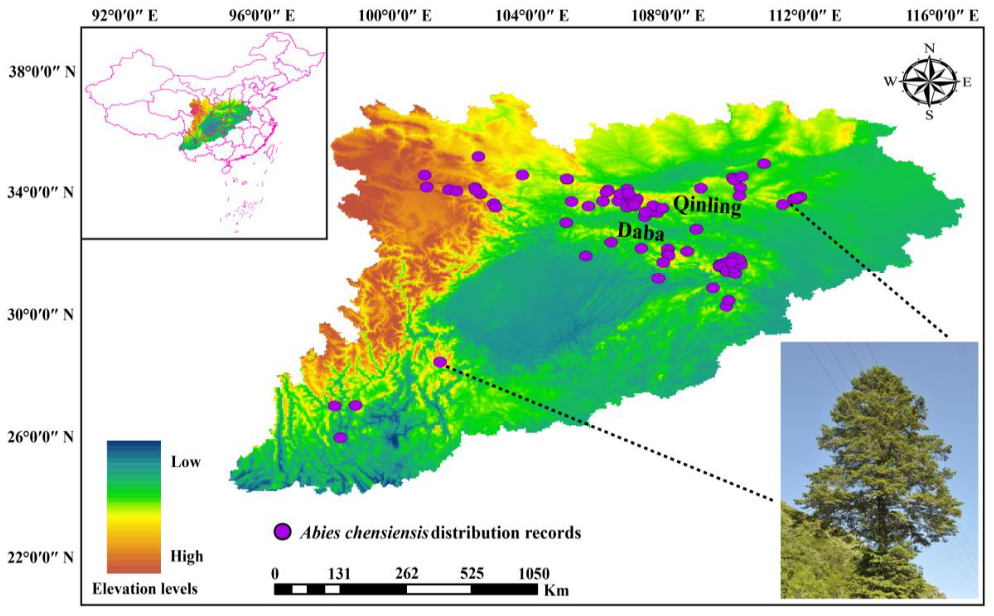 Biology 11 01659 g001