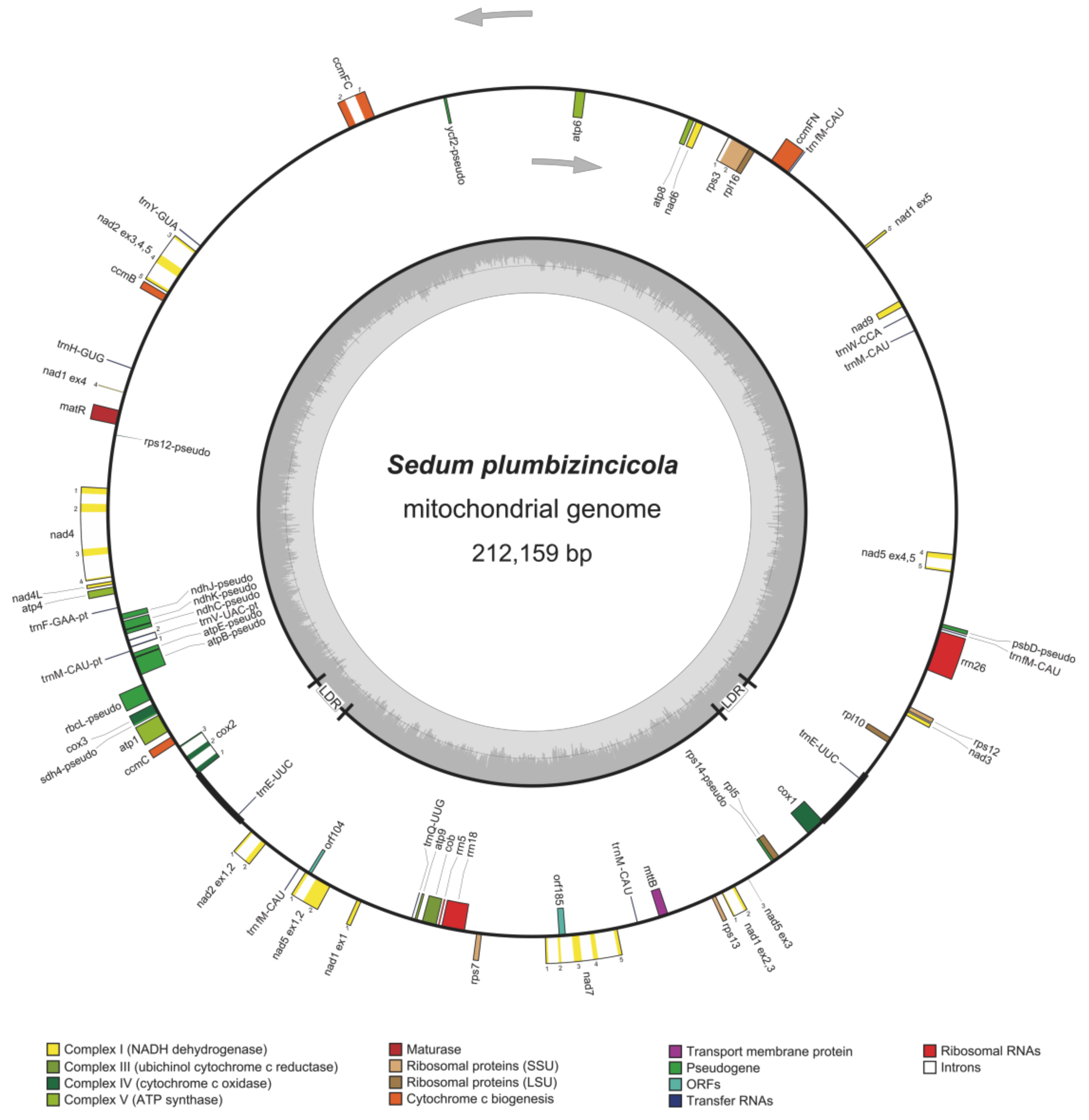 Biology 11 01661 g001 Biology 11 01661 g001